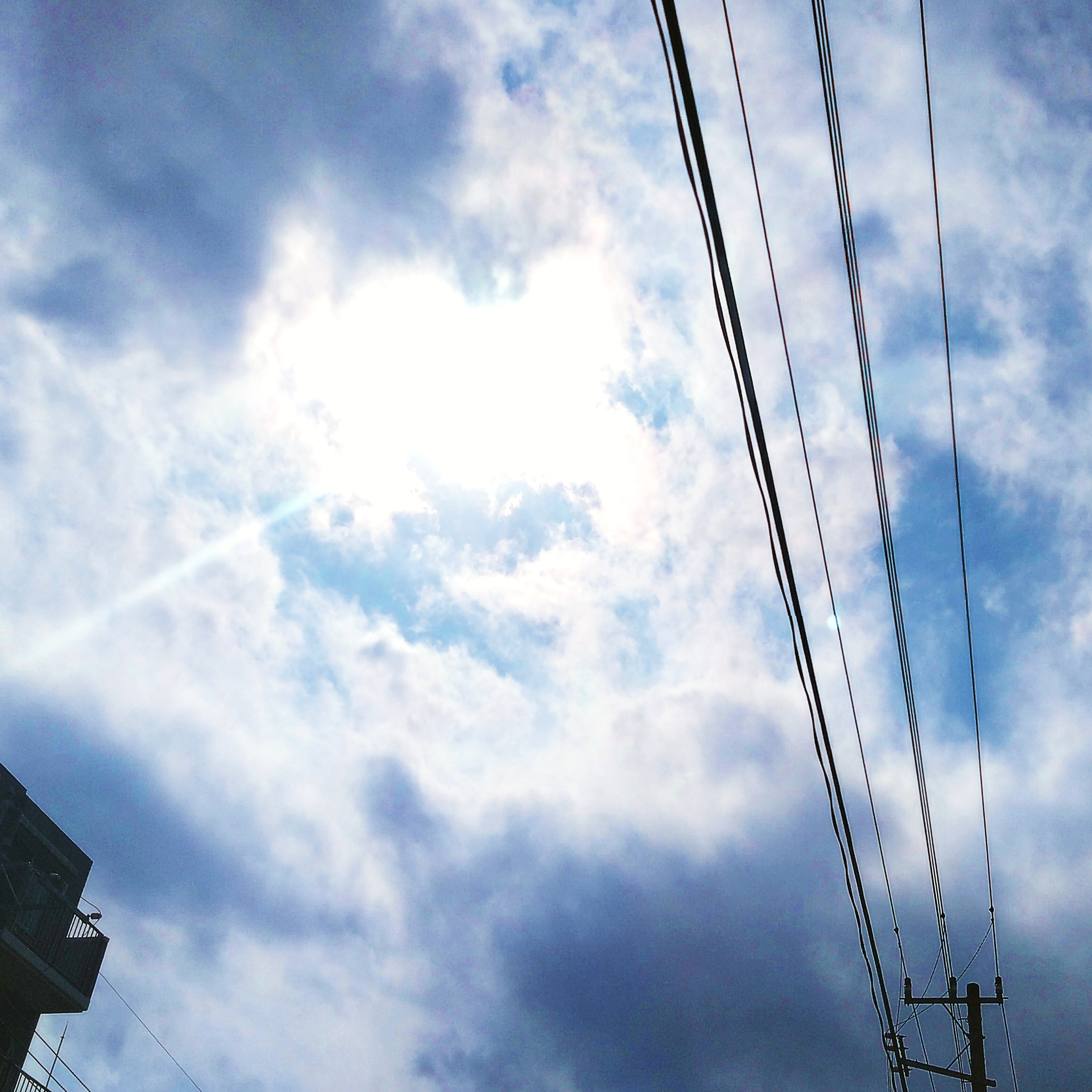 ジャケット写真