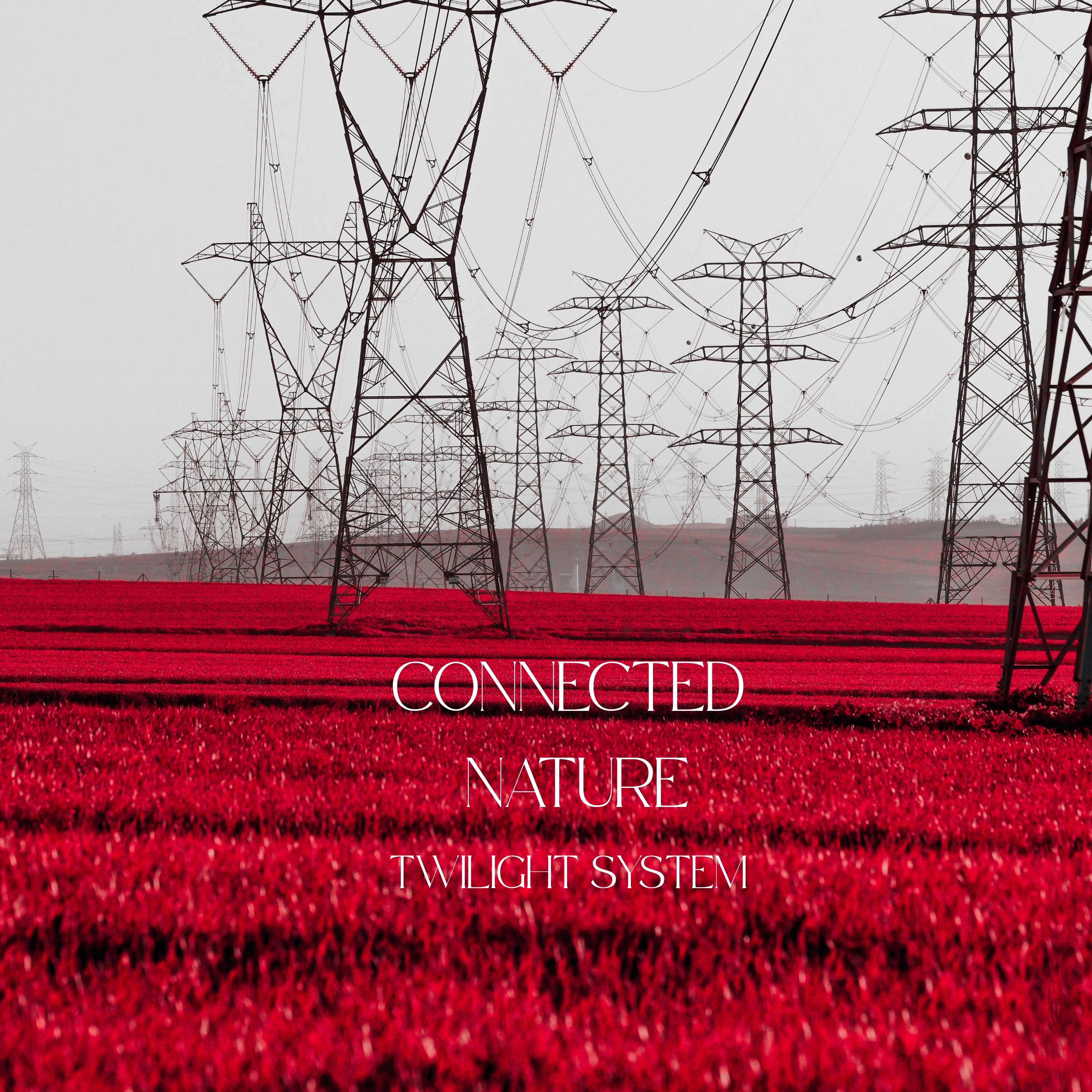 ジャケット写真