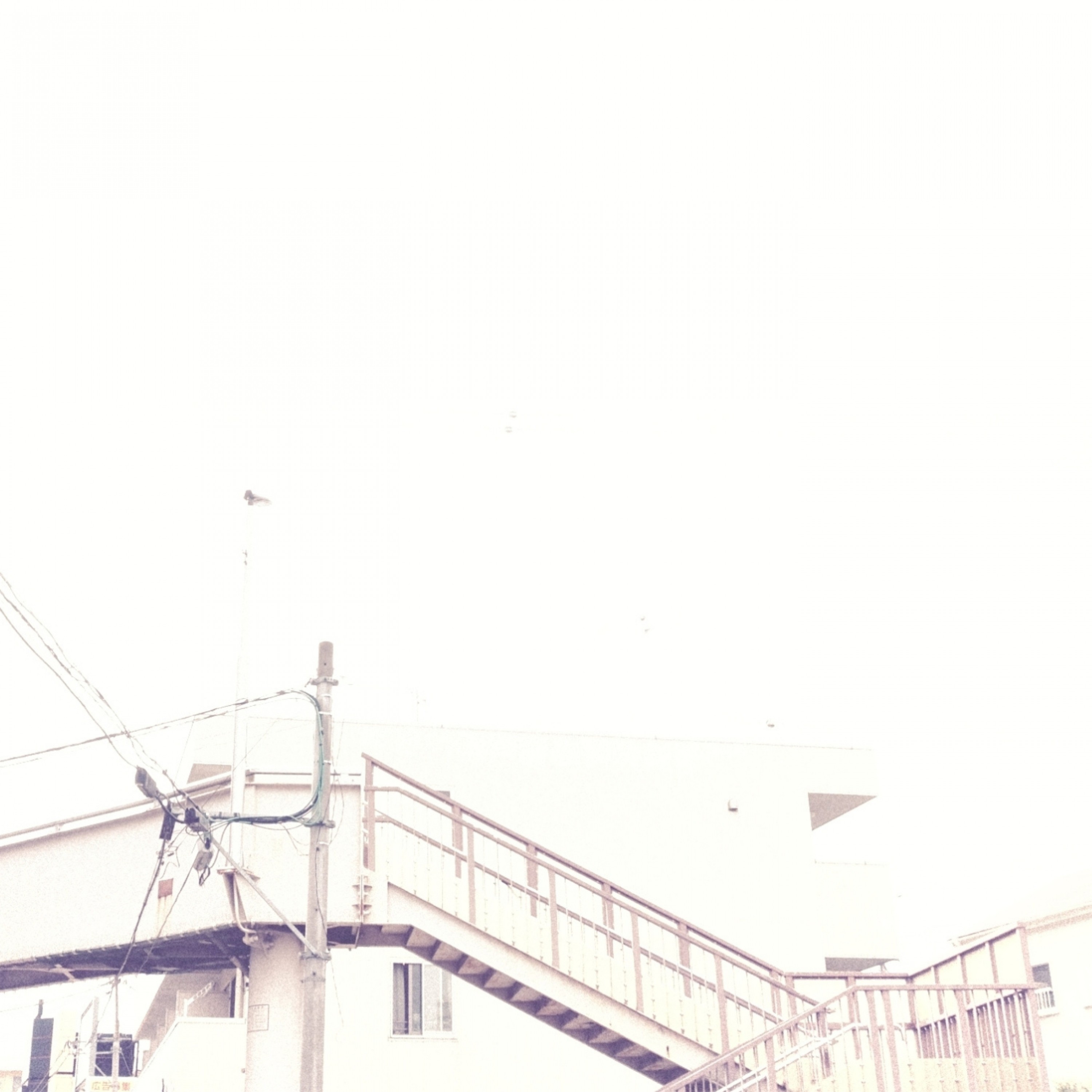 ジャケット写真