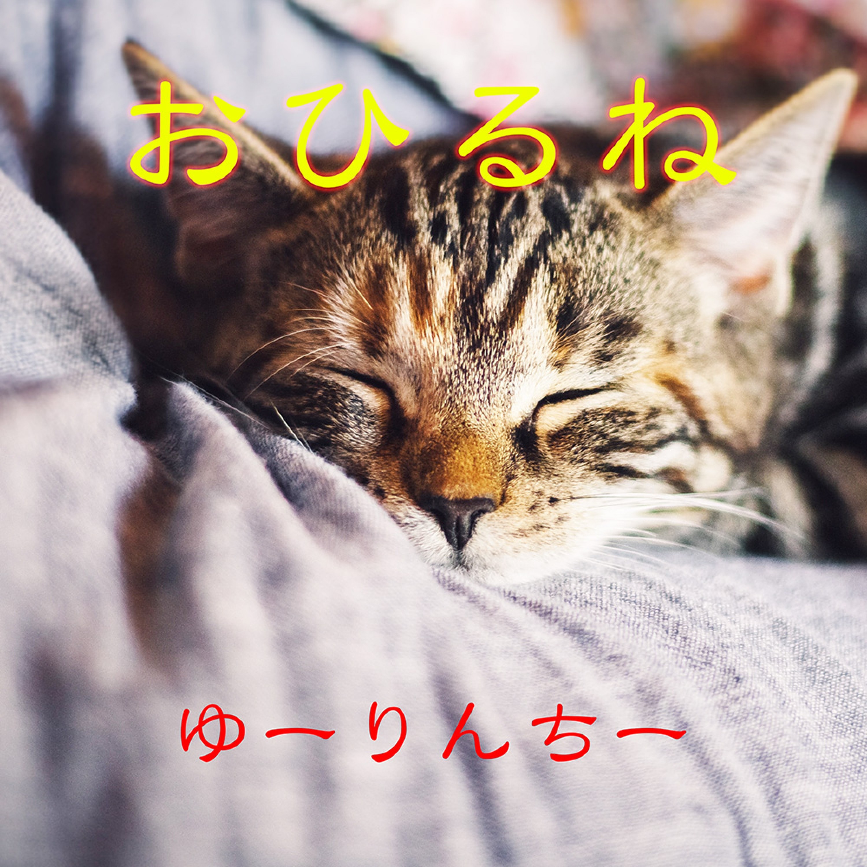 ジャケット写真