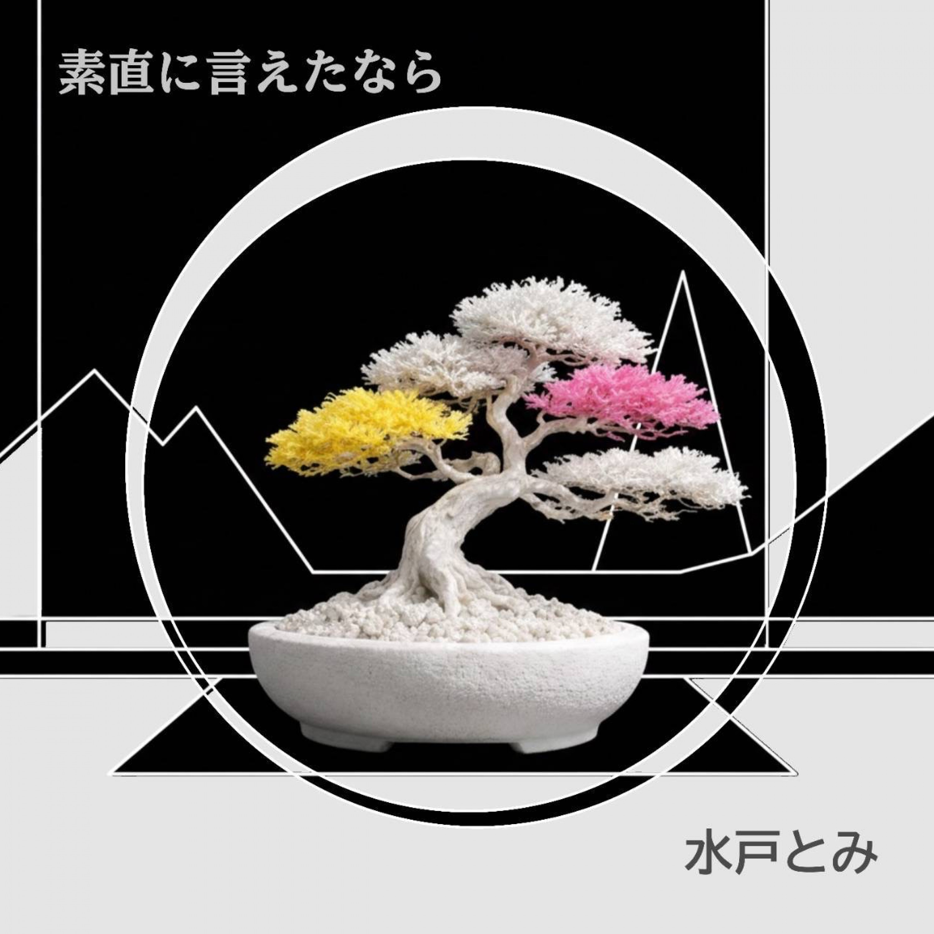 ジャケット写真