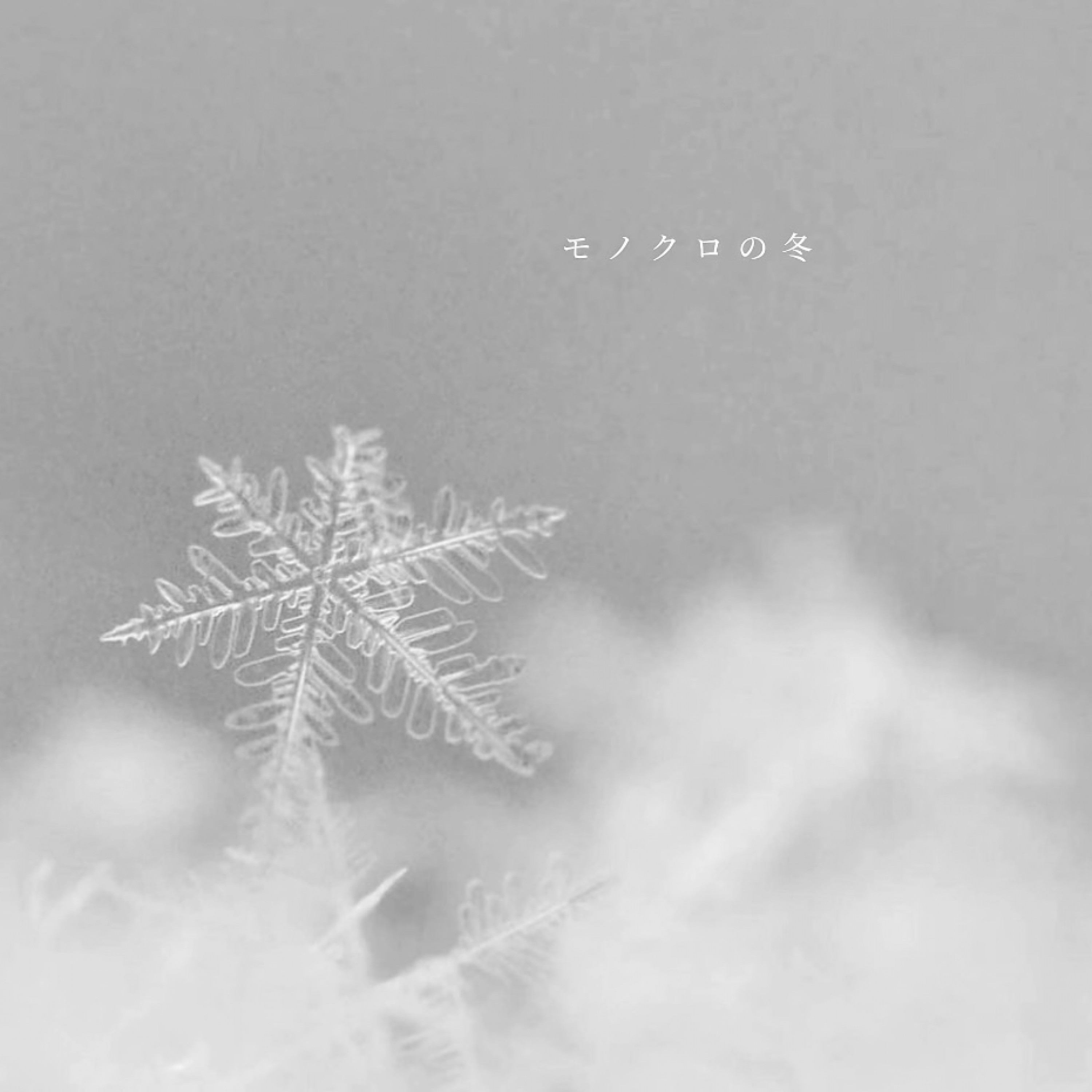 ジャケット写真