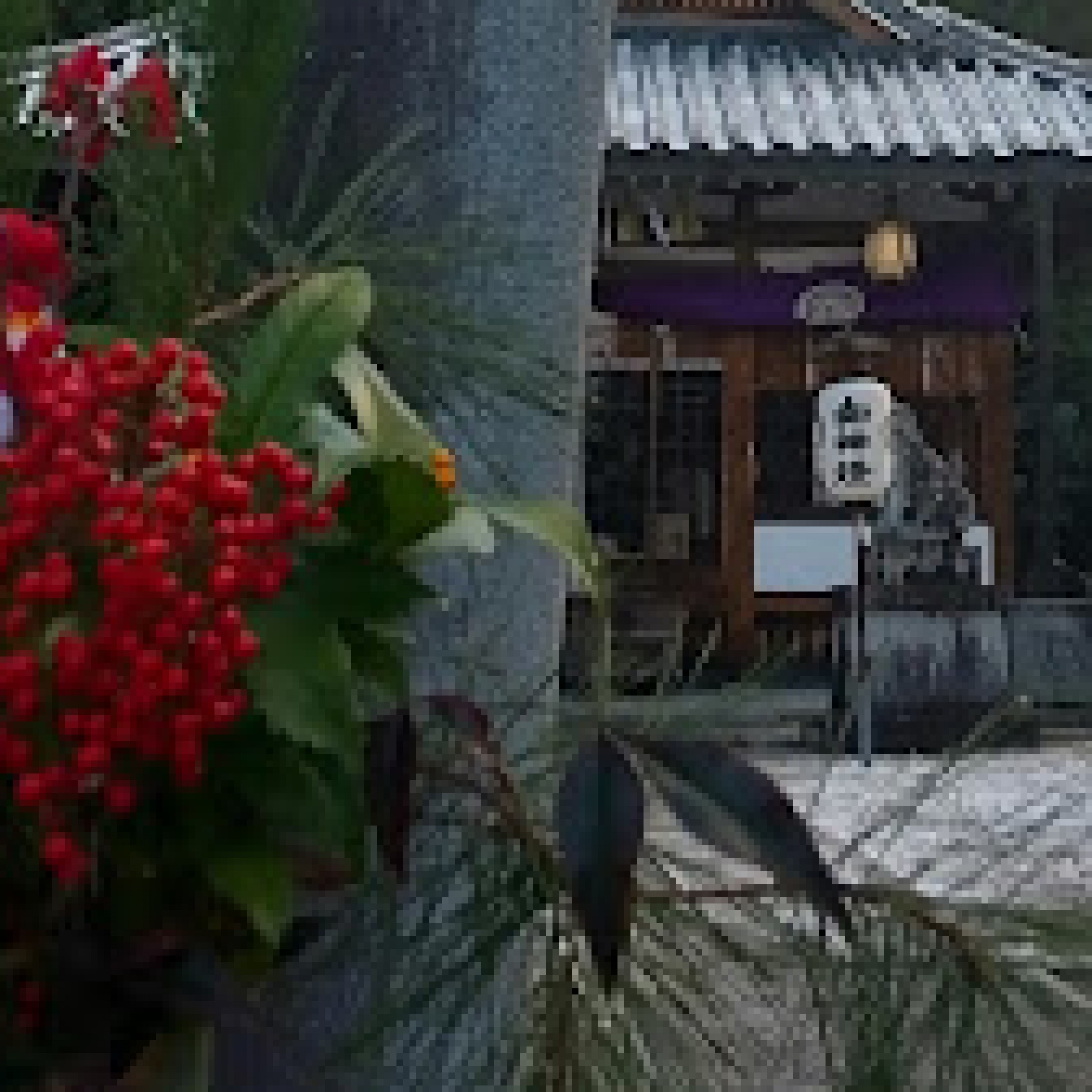 ジャケット写真