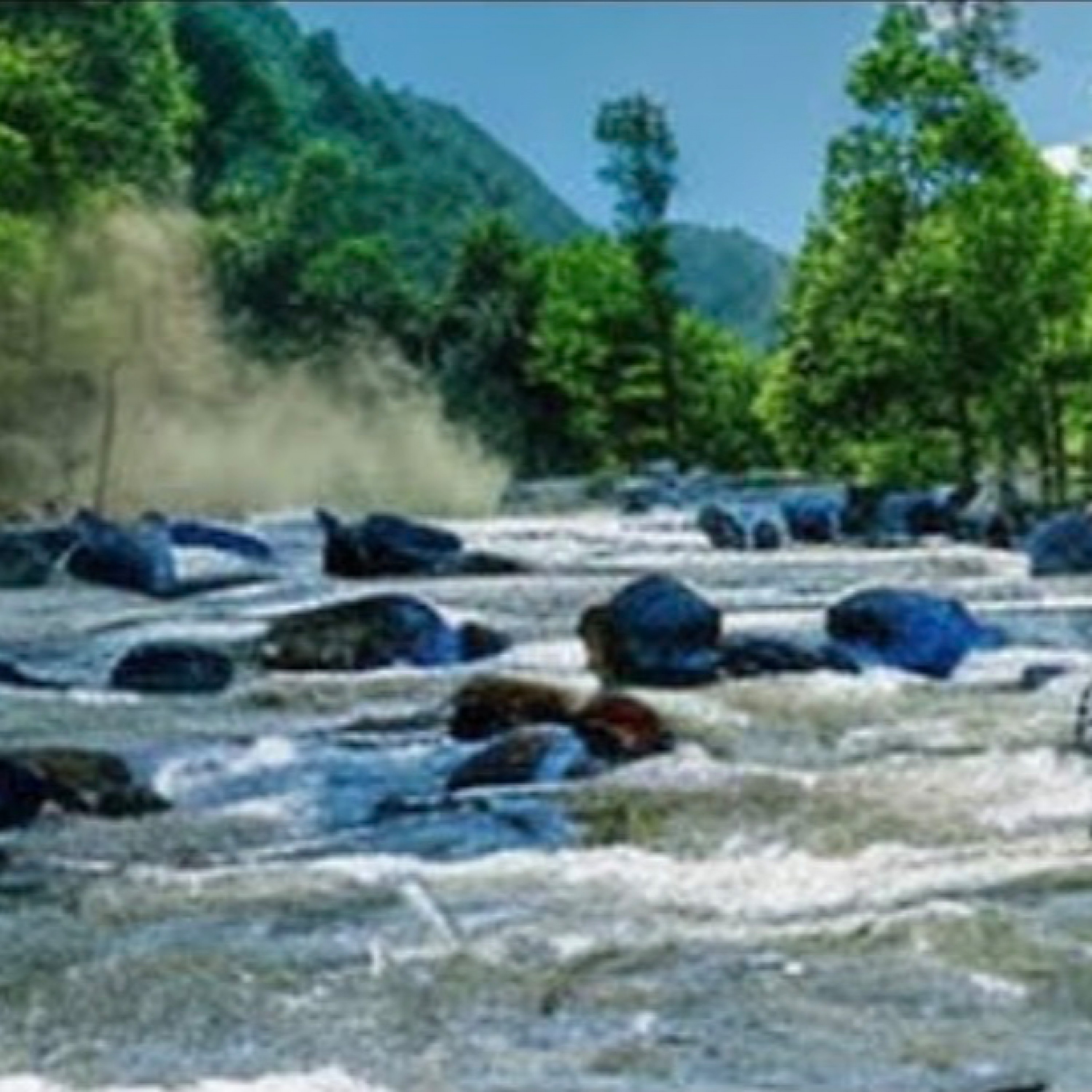 ジャケット写真