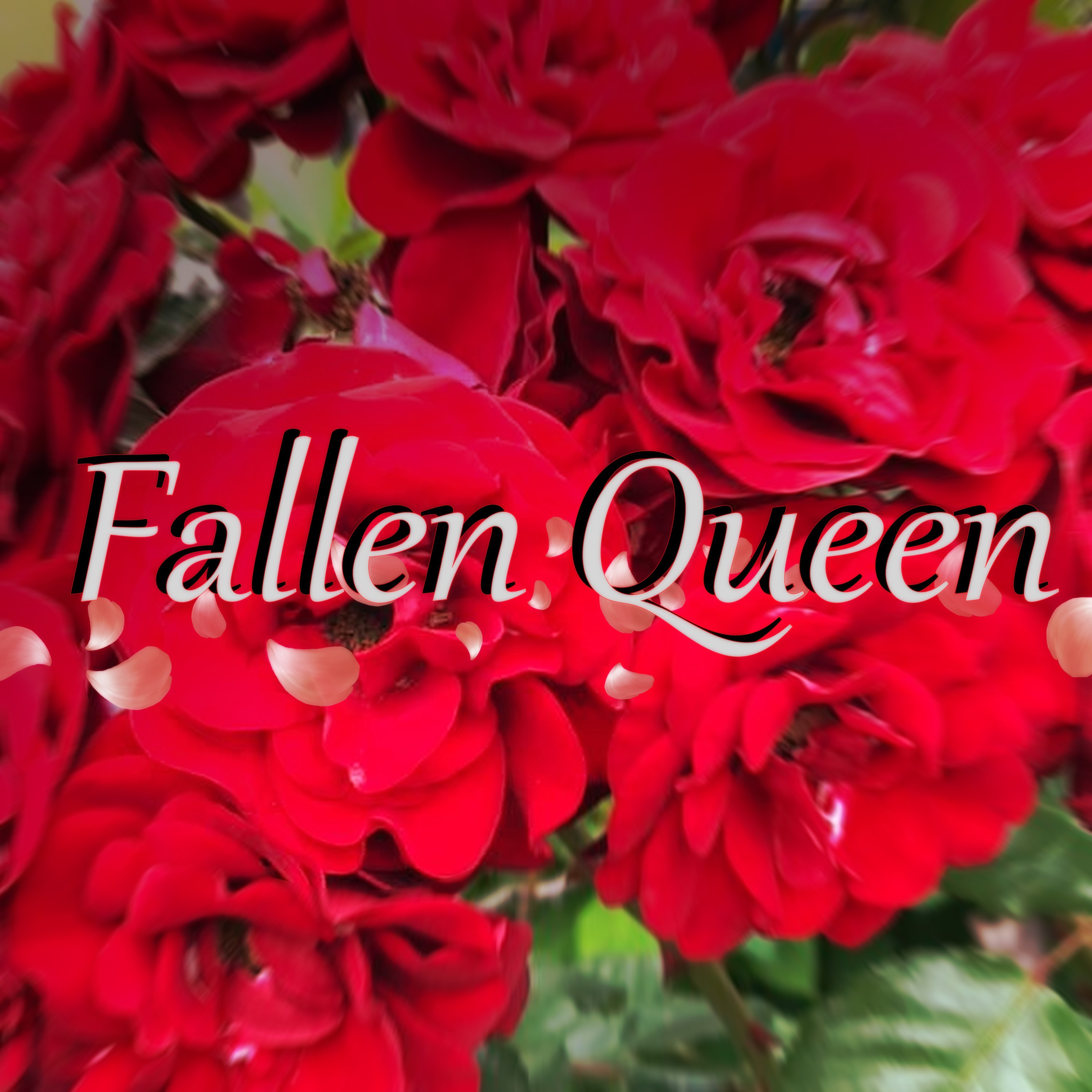 ジャケット写真