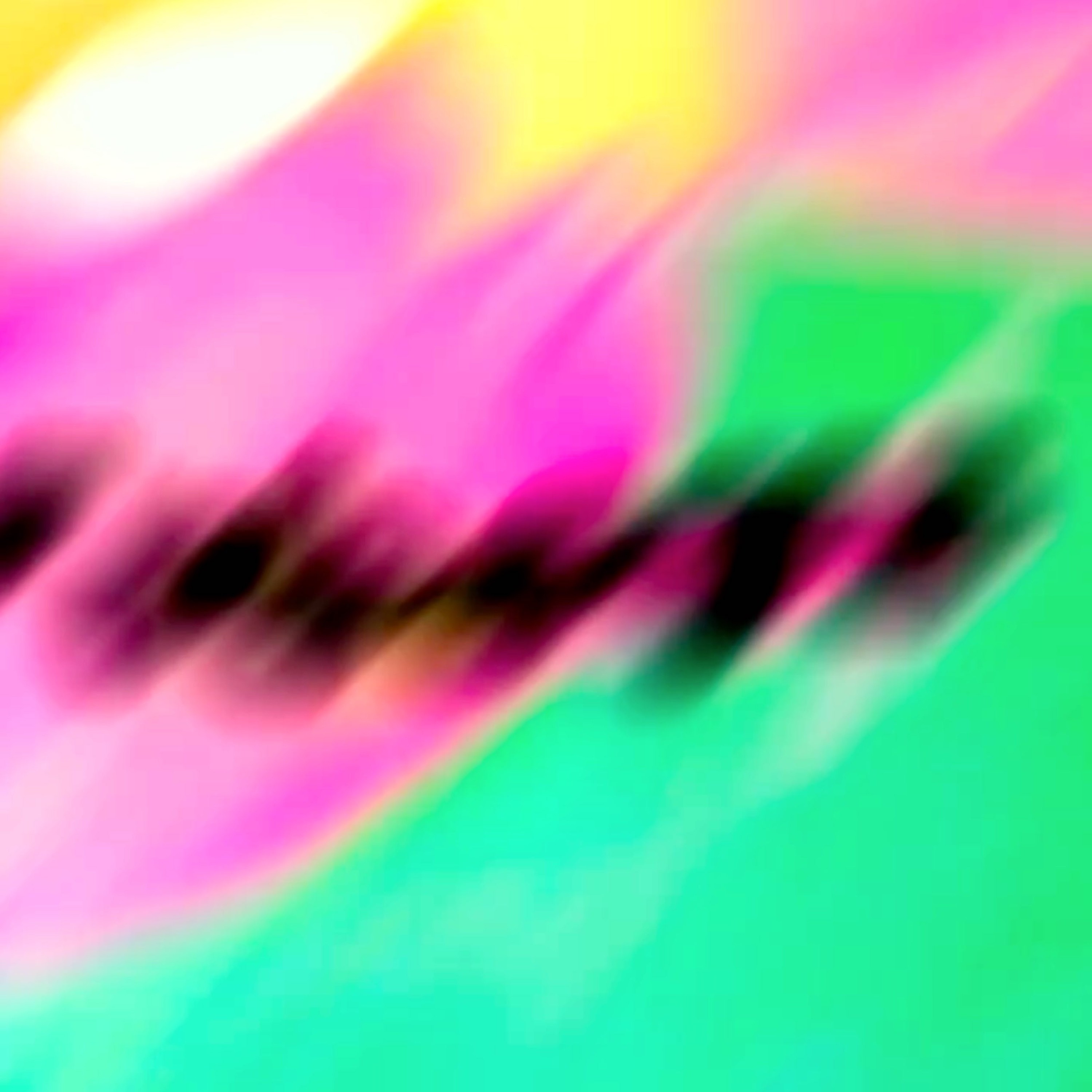 ジャケット写真