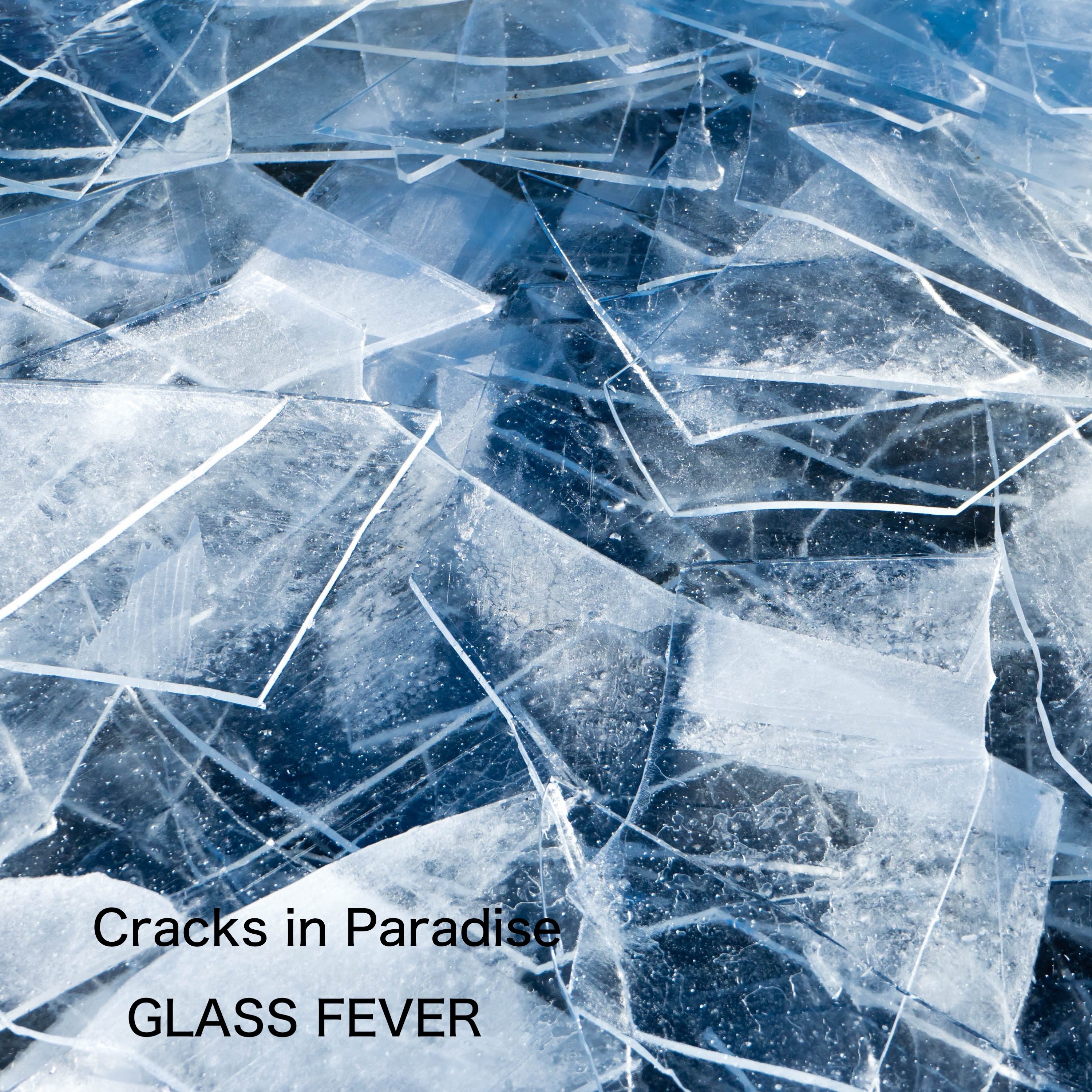 ジャケット写真