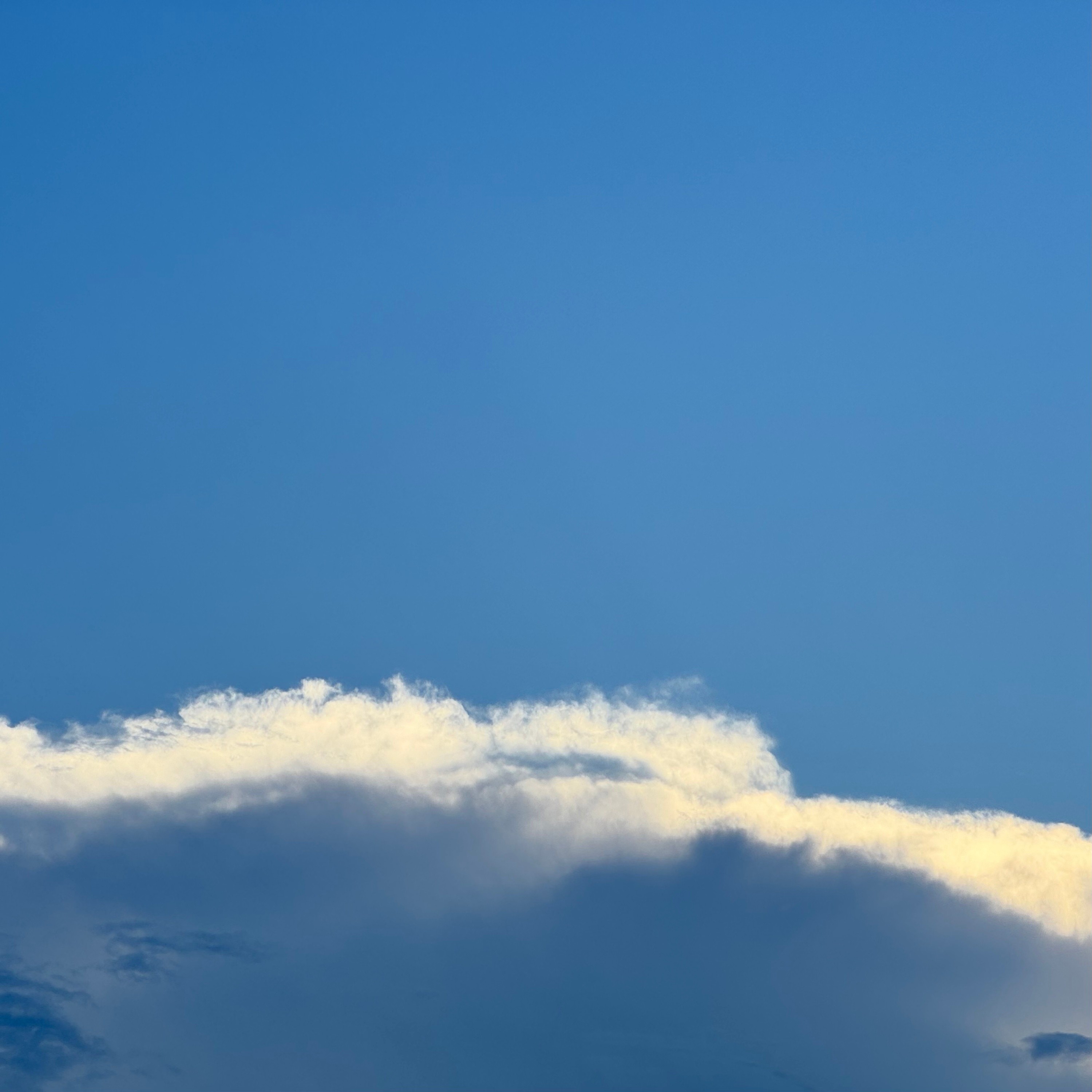 ジャケット写真