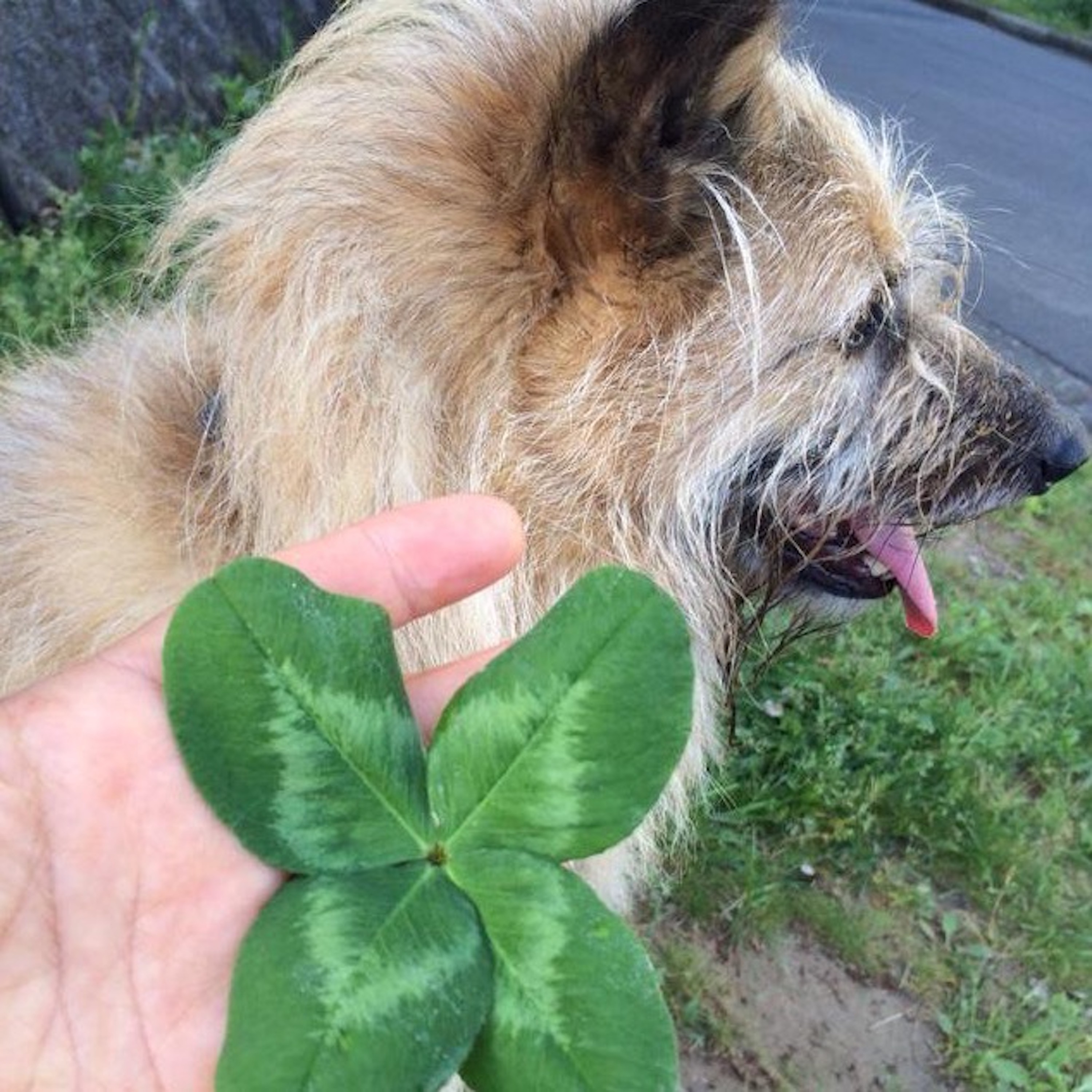 ジャケット写真