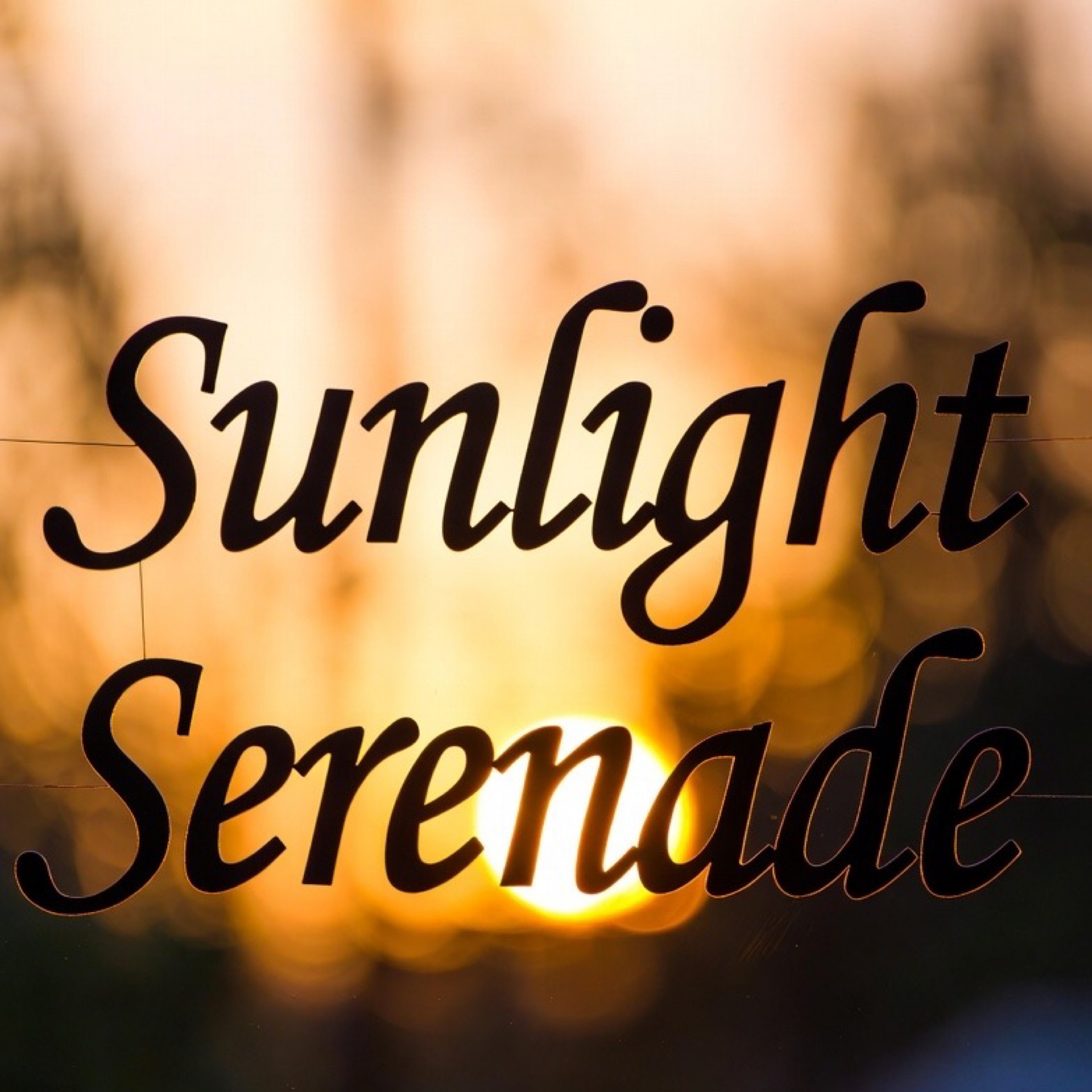 ジャケット写真