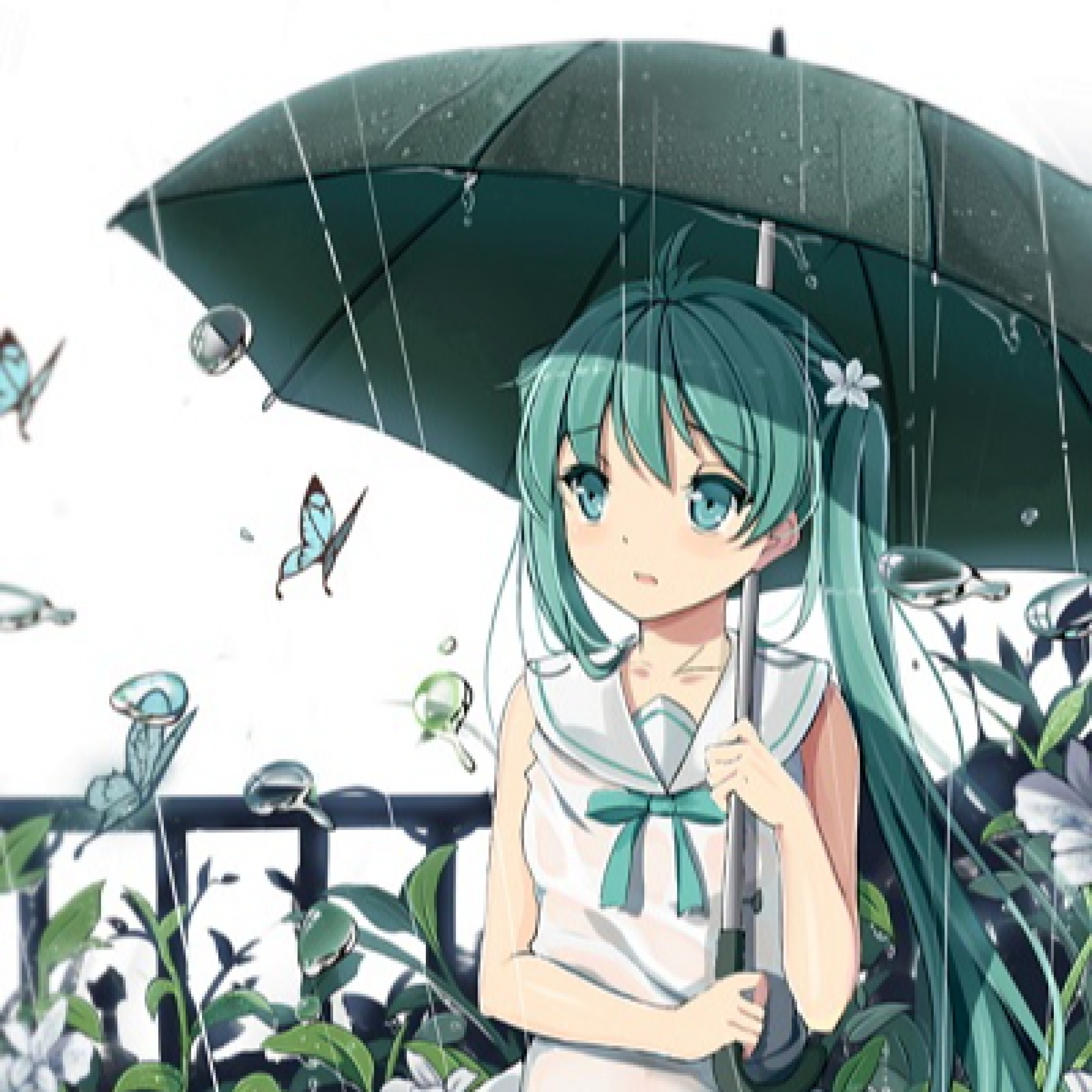 ジャケット写真