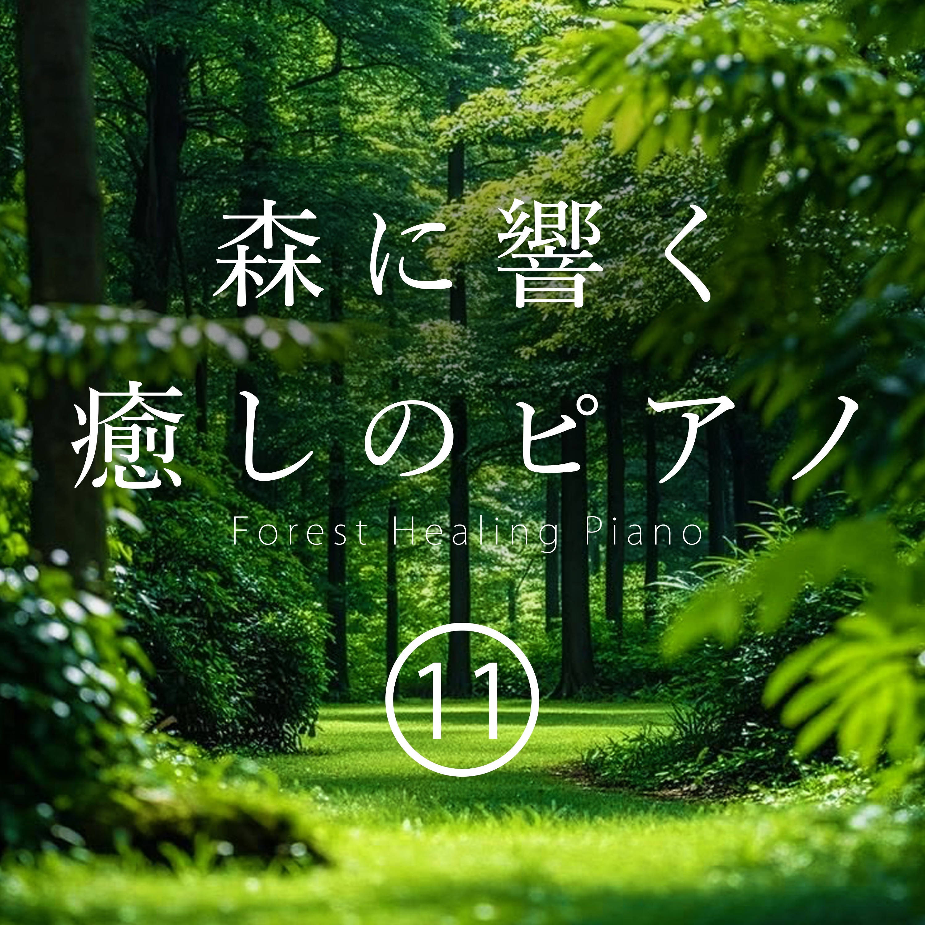 ジャケット写真