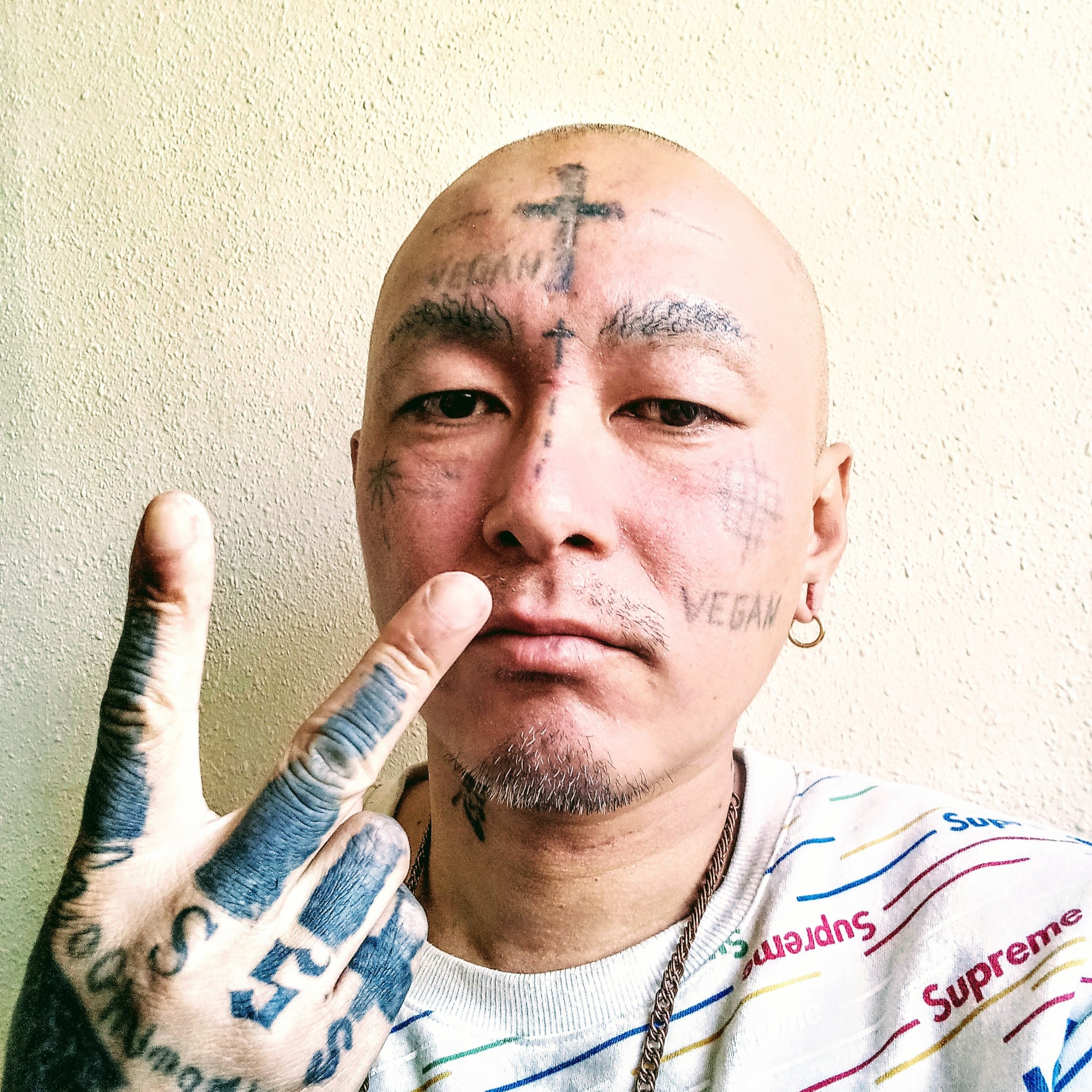 ジャケット写真