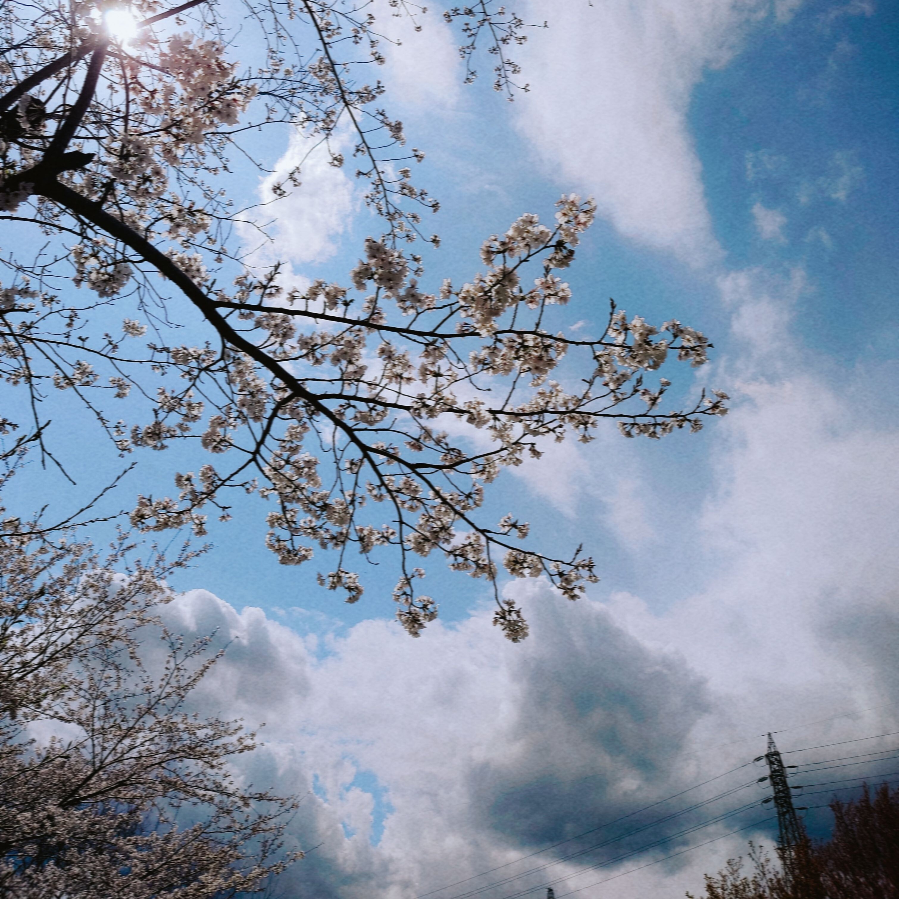 ジャケット写真