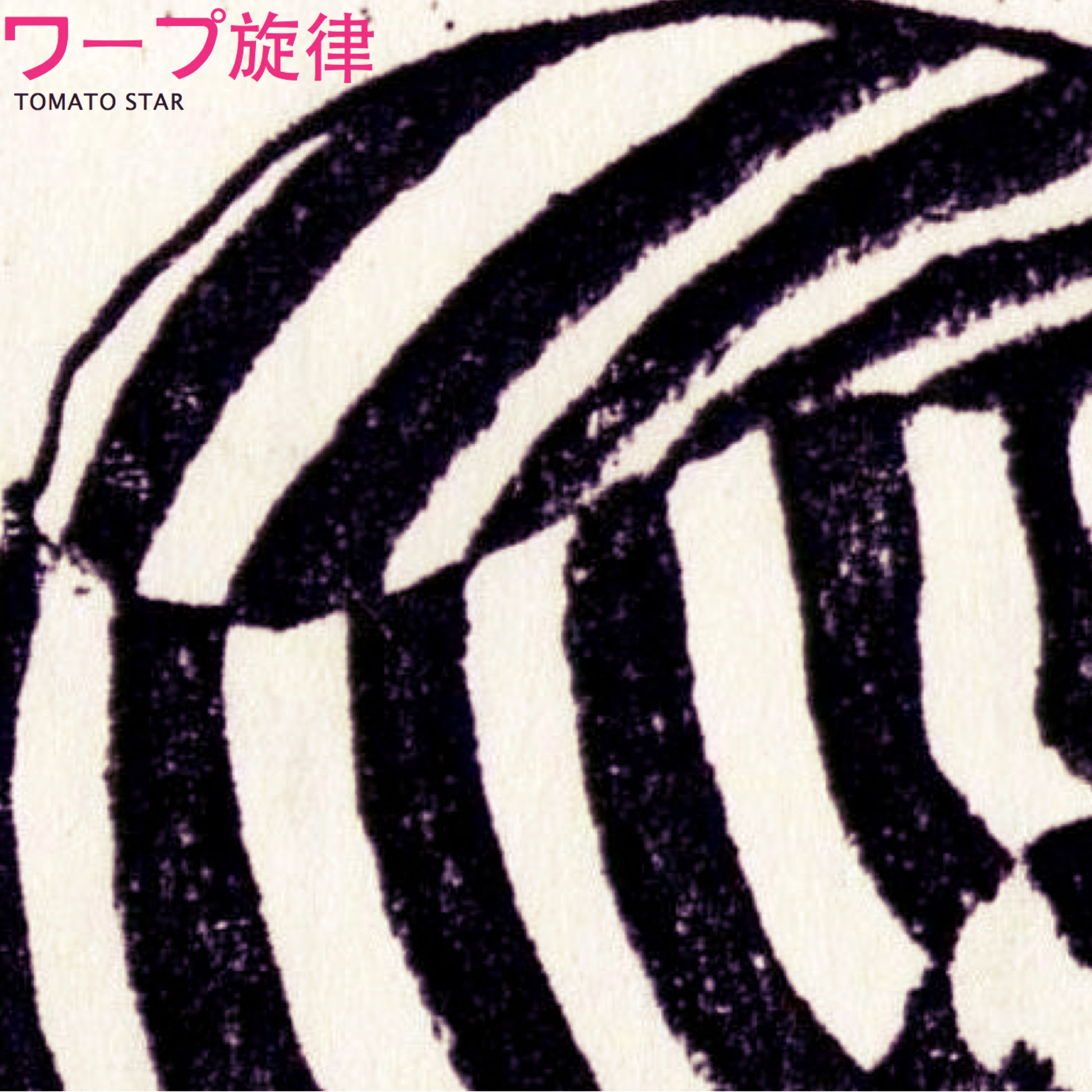 ジャケット写真