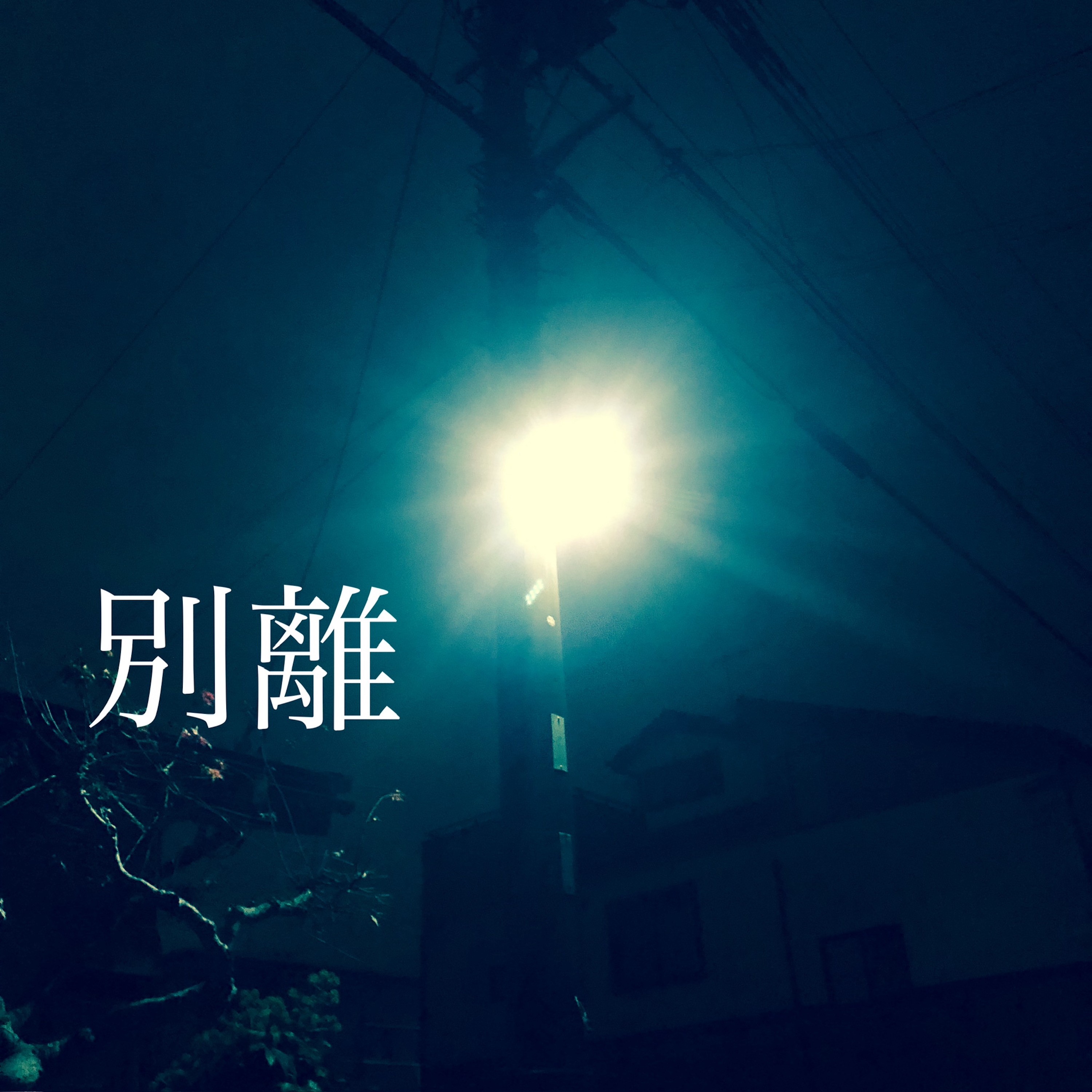 ジャケット写真