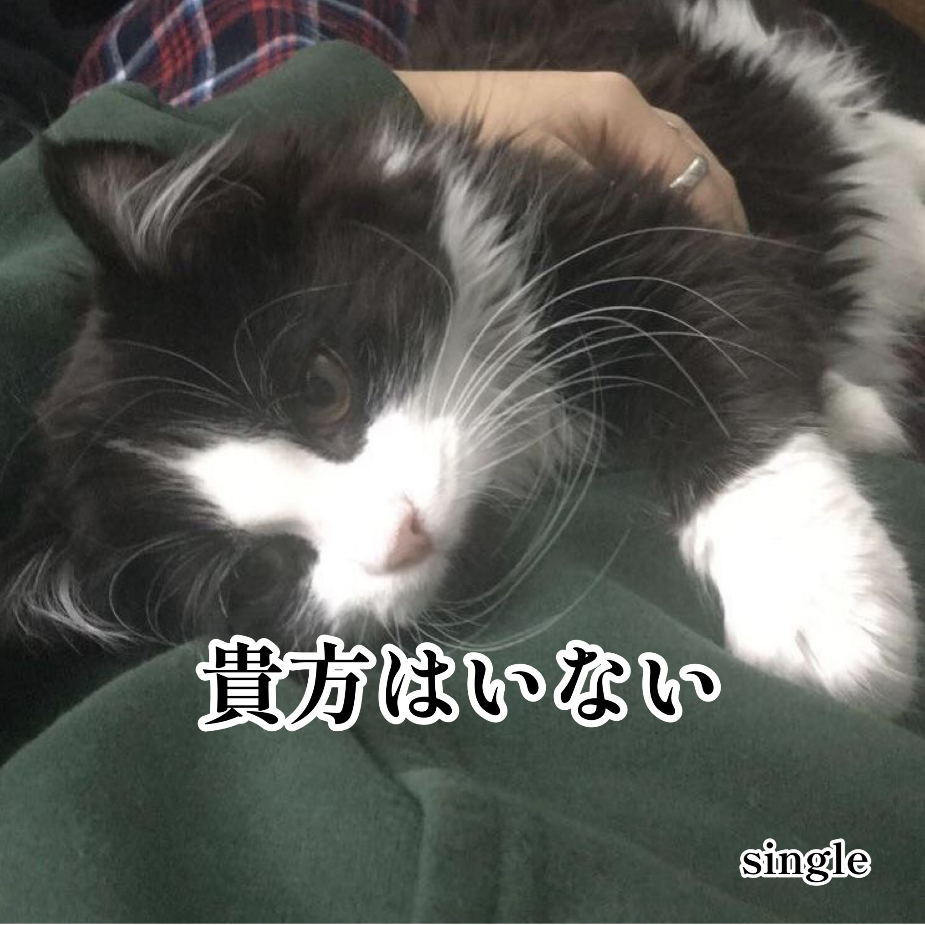 ジャケット写真