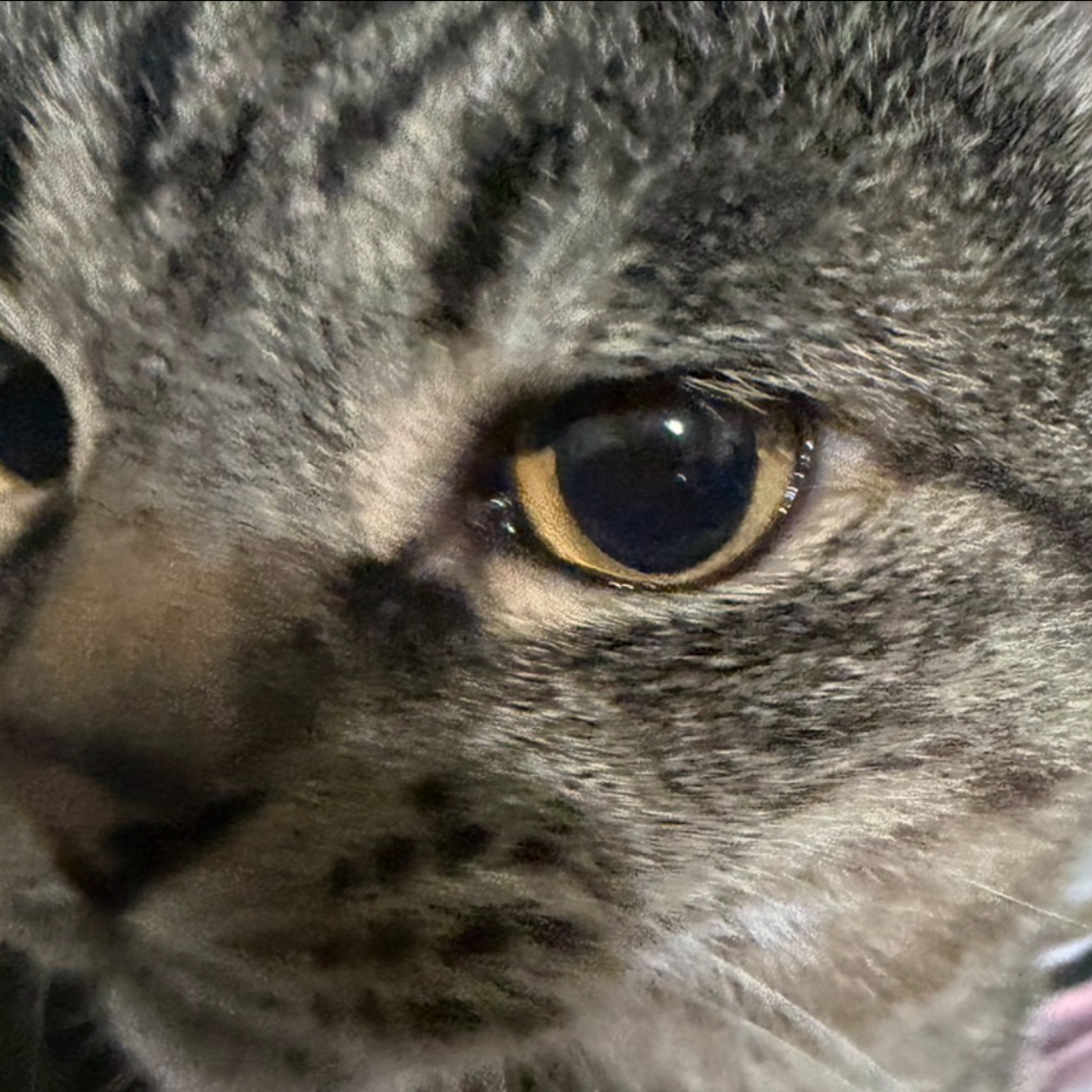 ジャケット写真