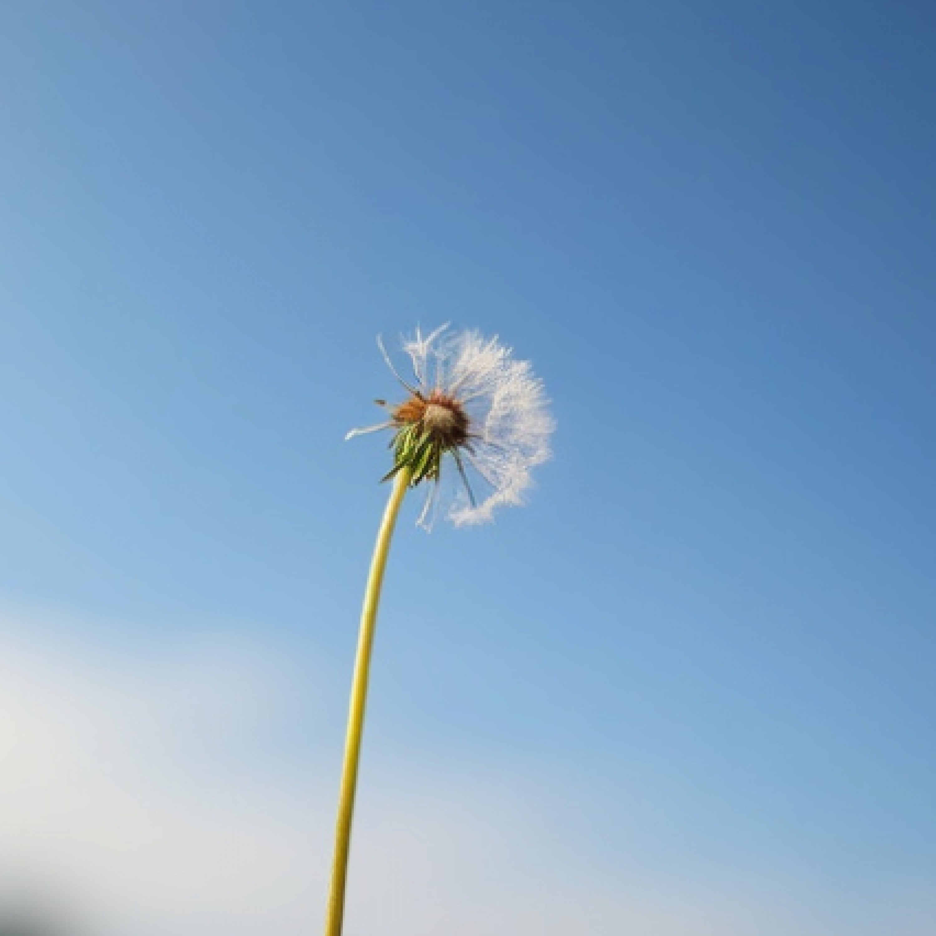 ジャケット写真