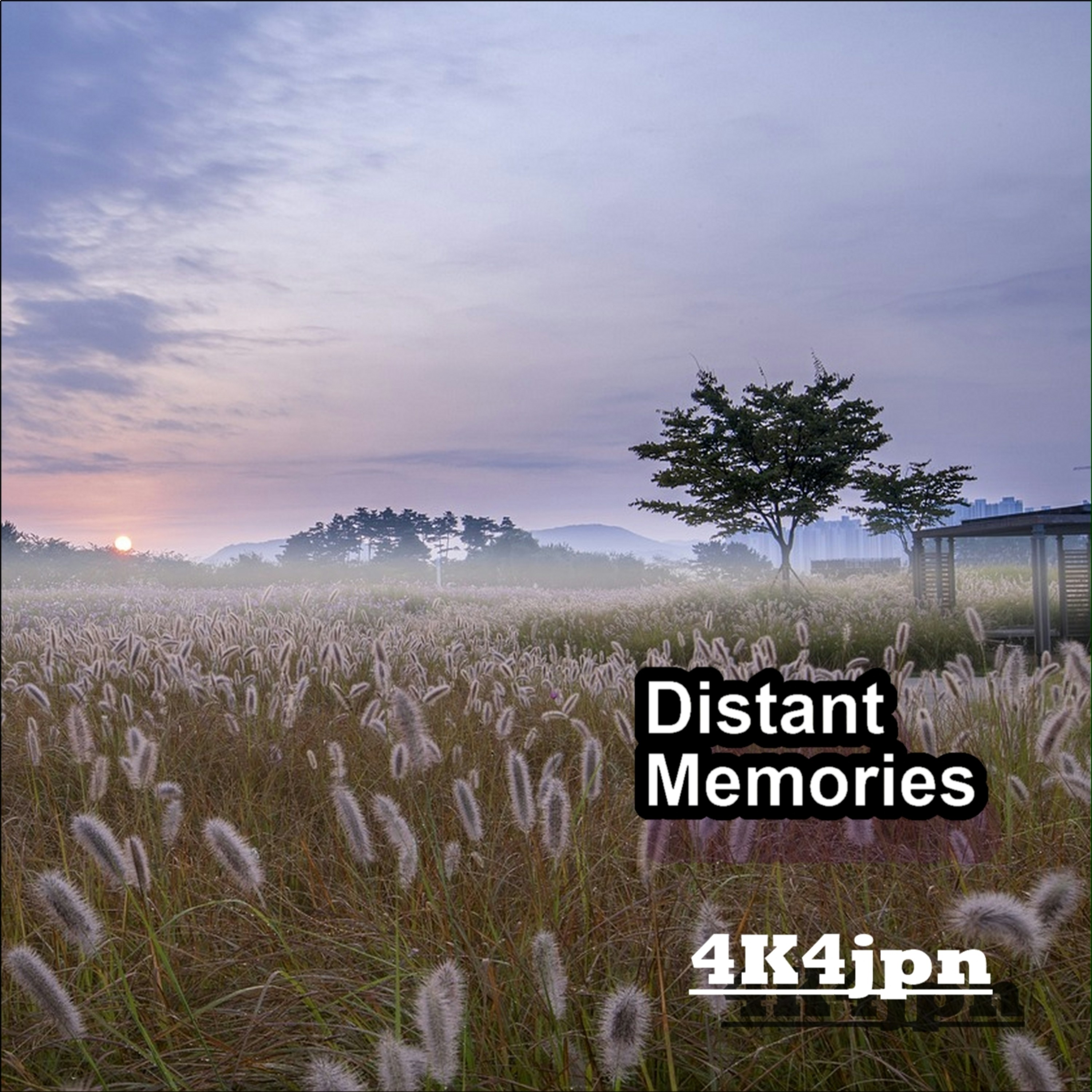 ジャケット写真