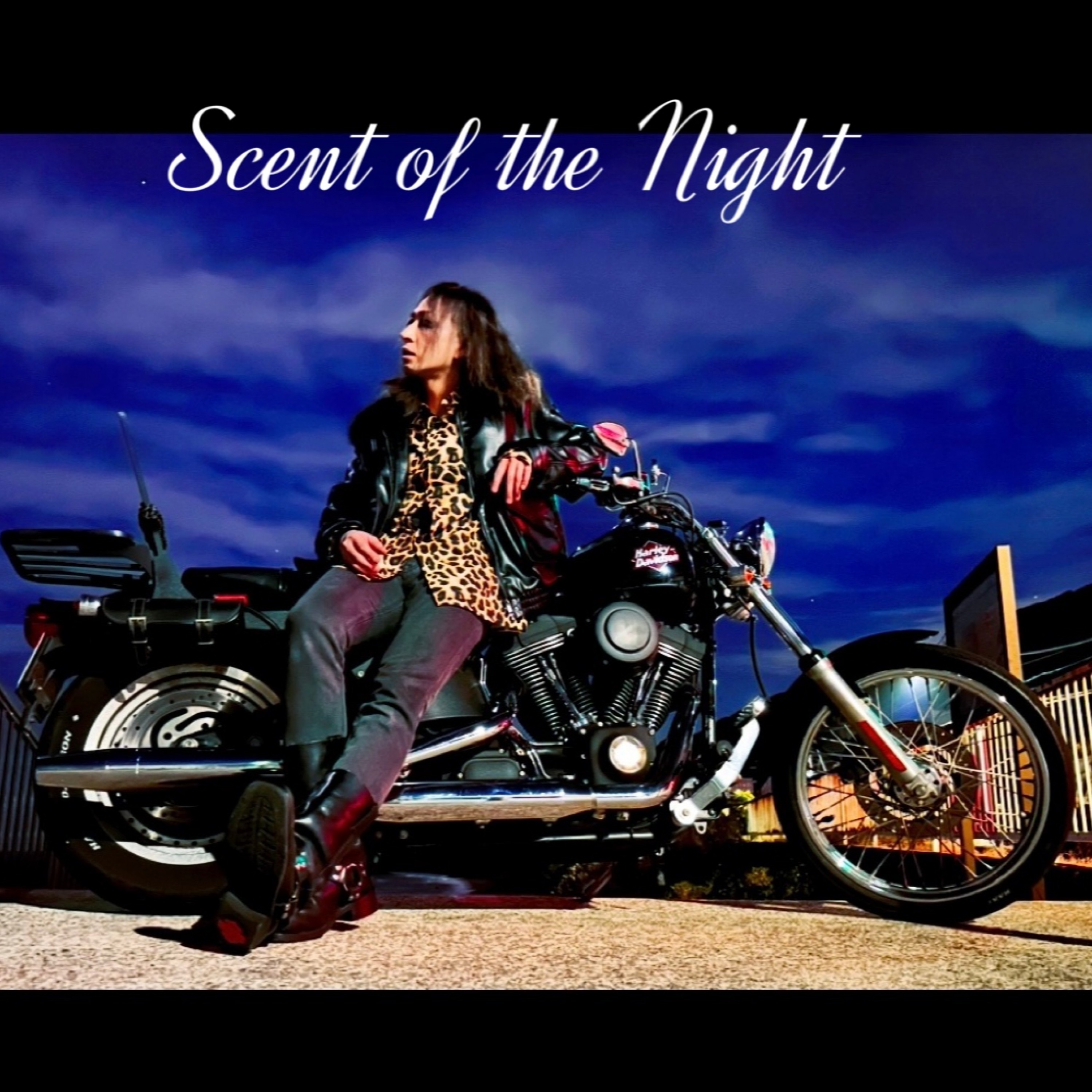 ジャケット写真