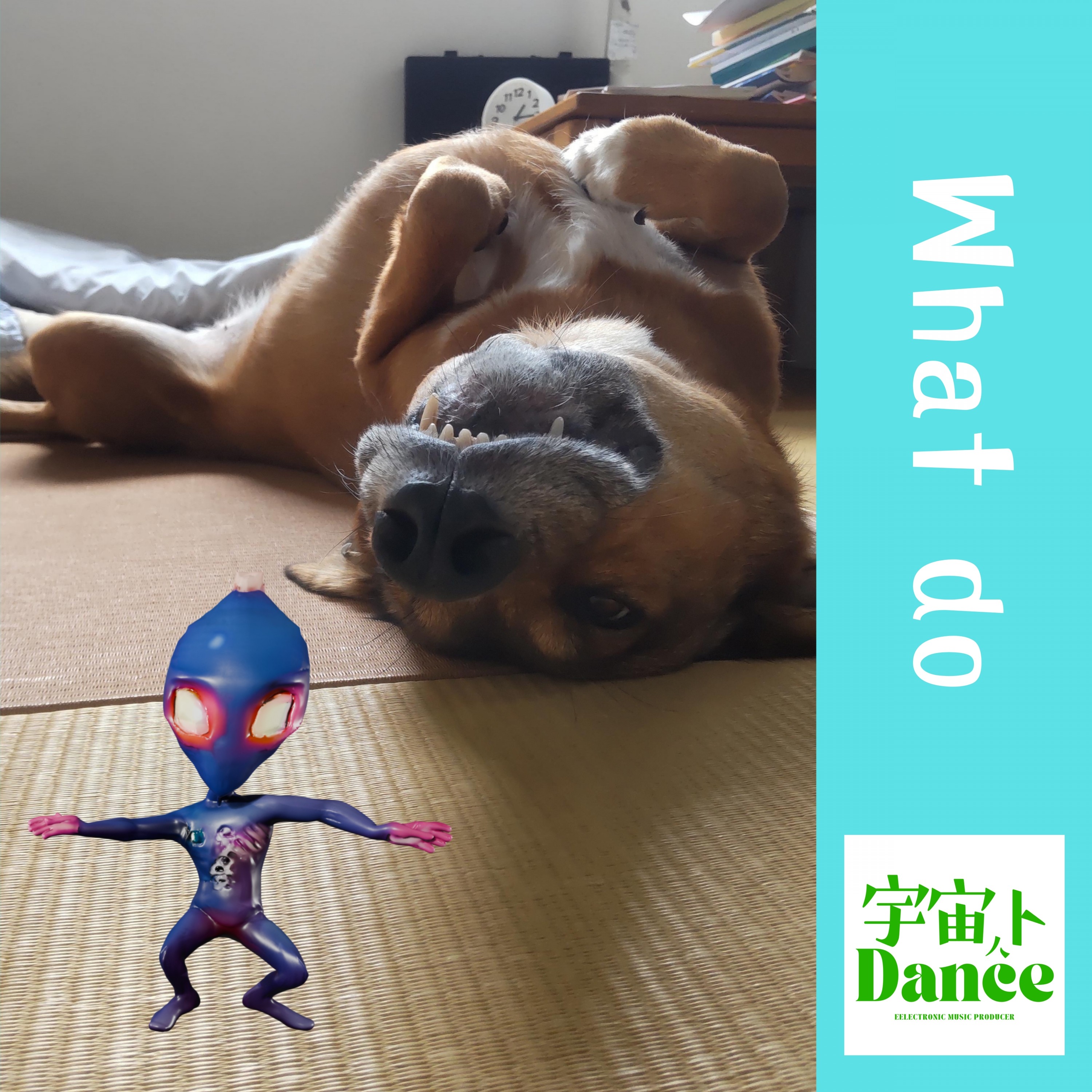 ジャケット写真