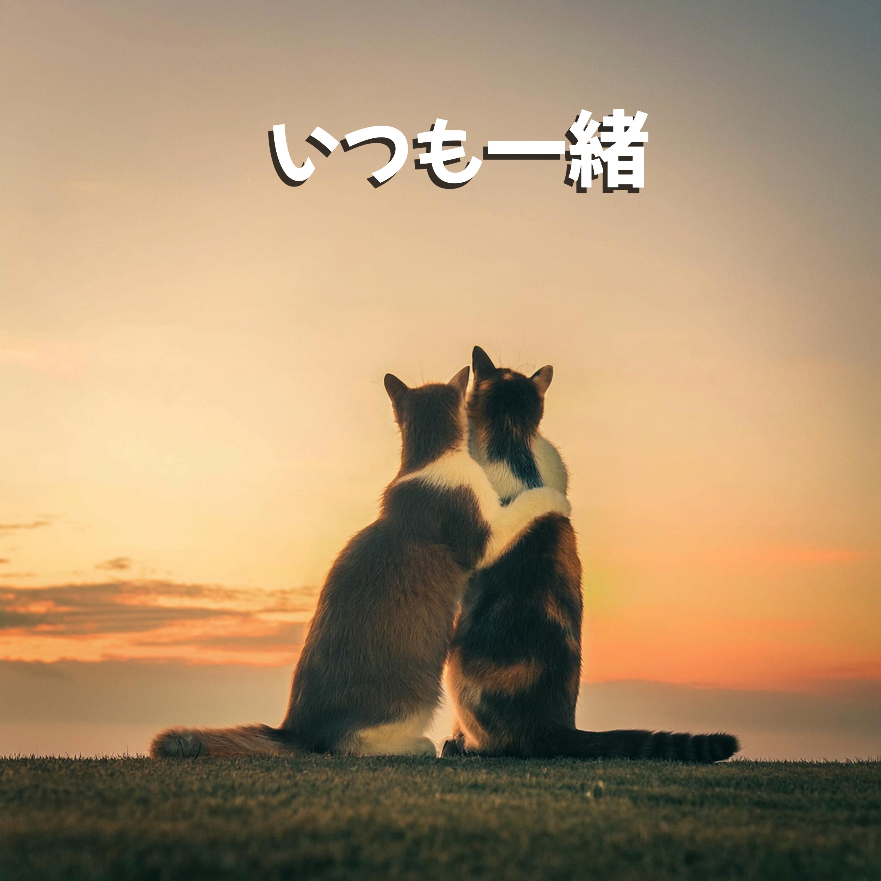ジャケット写真