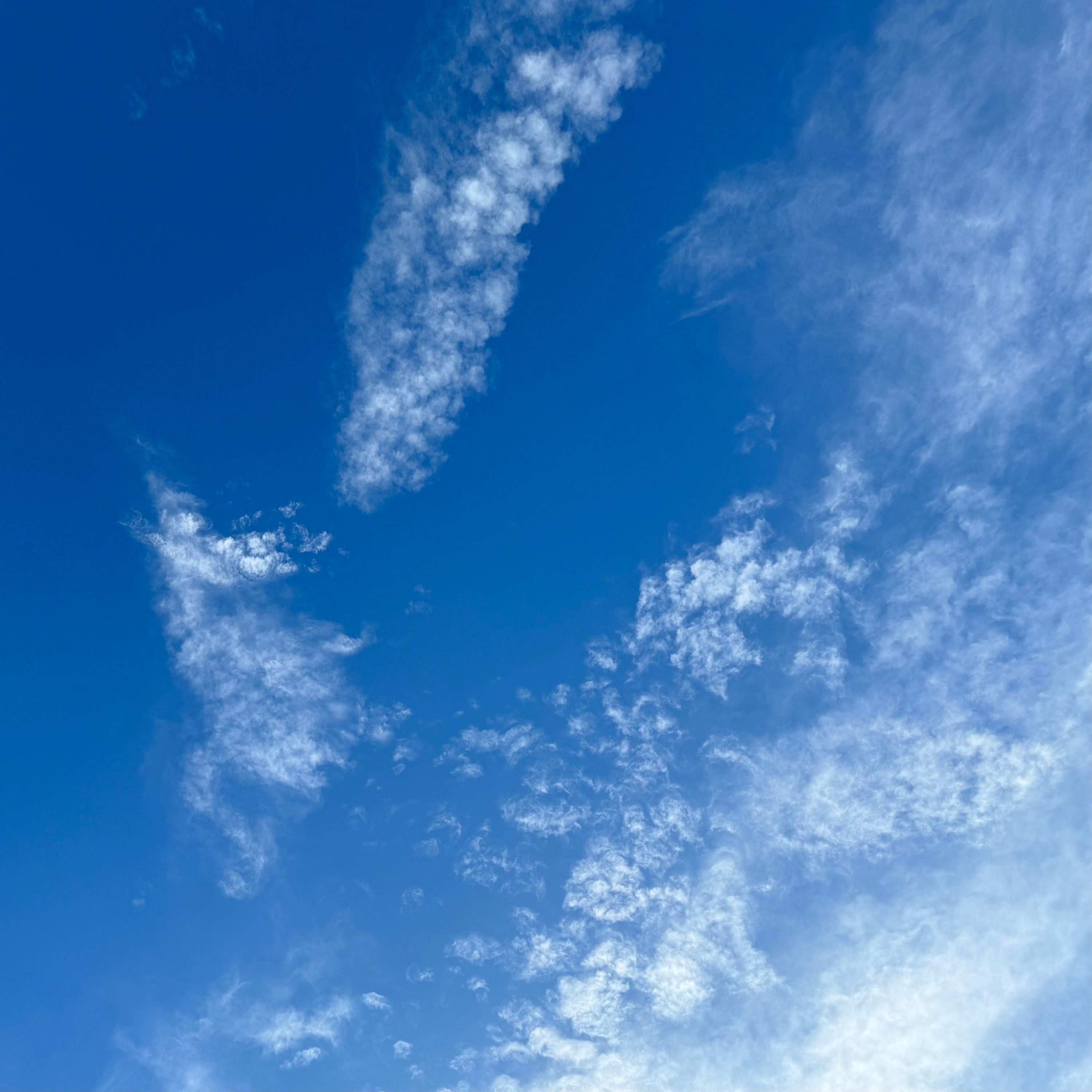 ジャケット写真