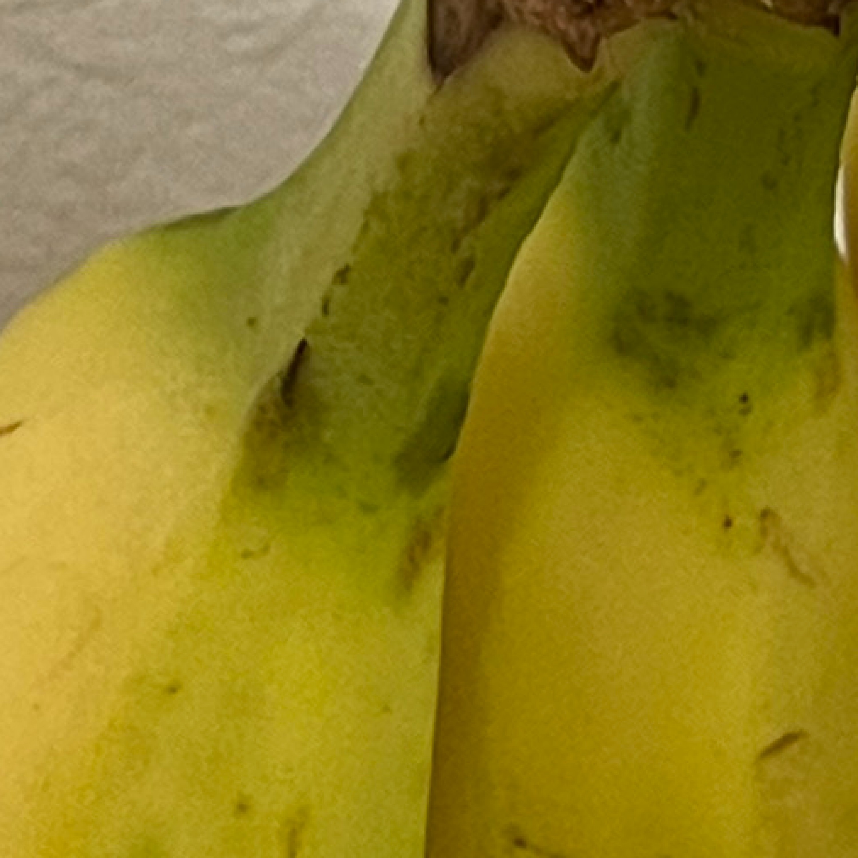 ジャケット写真