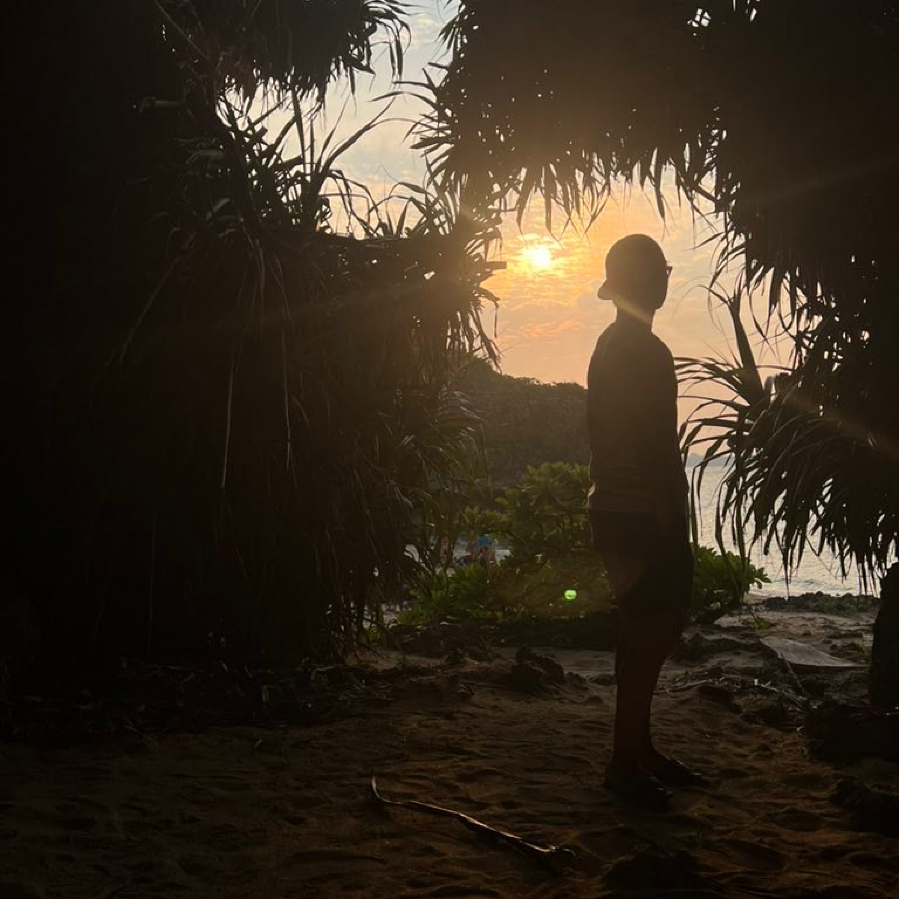 ジャケット写真