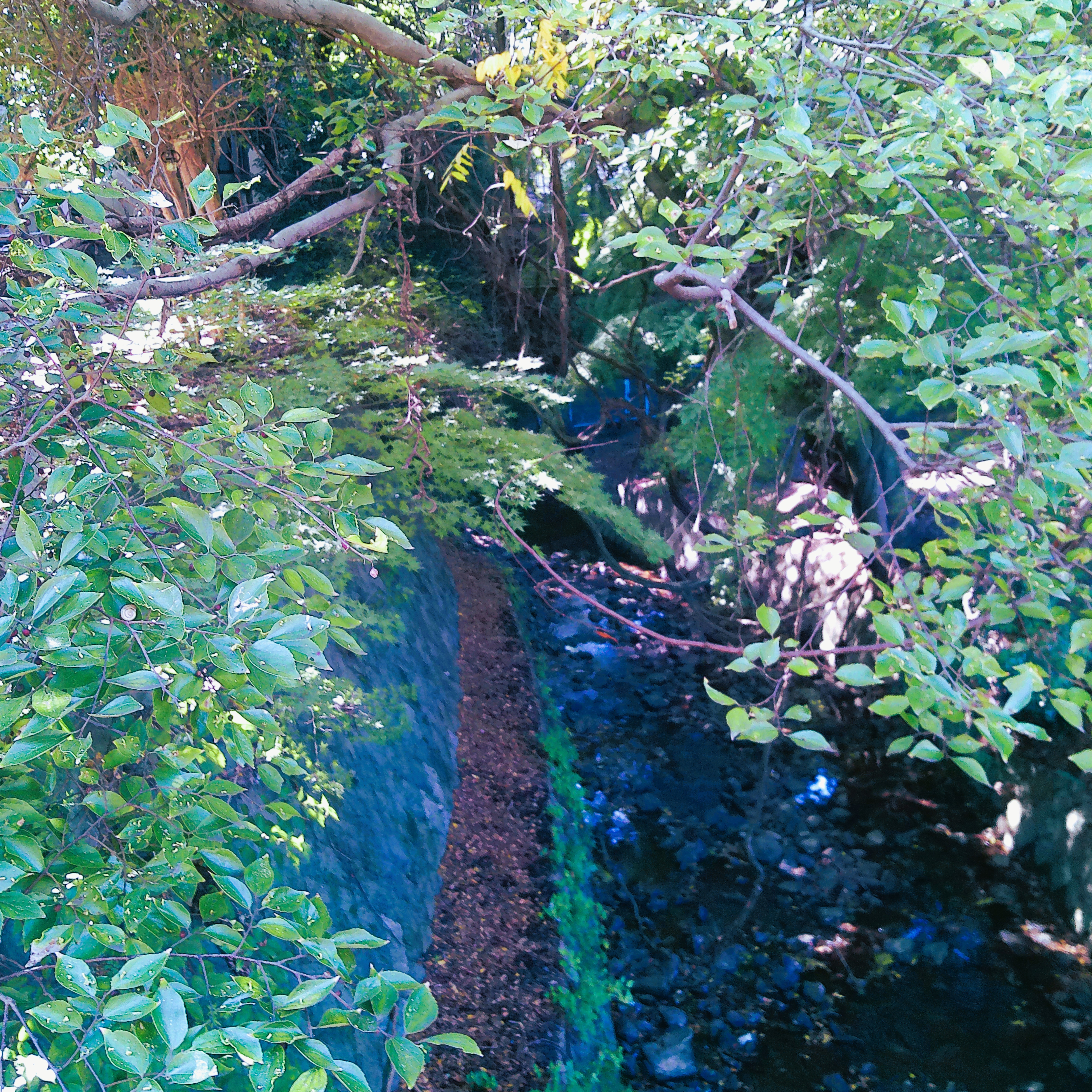 ジャケット写真