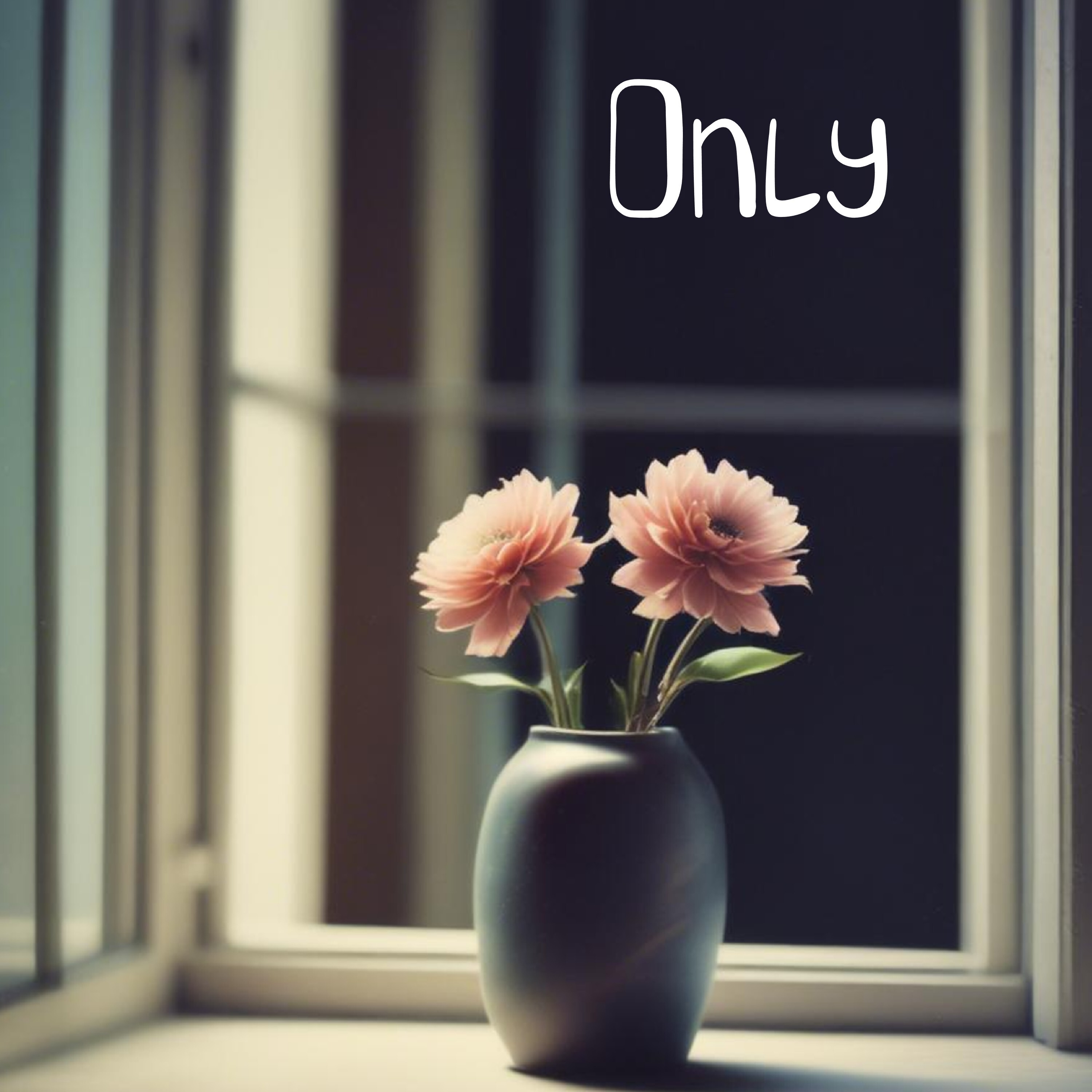 ジャケット写真