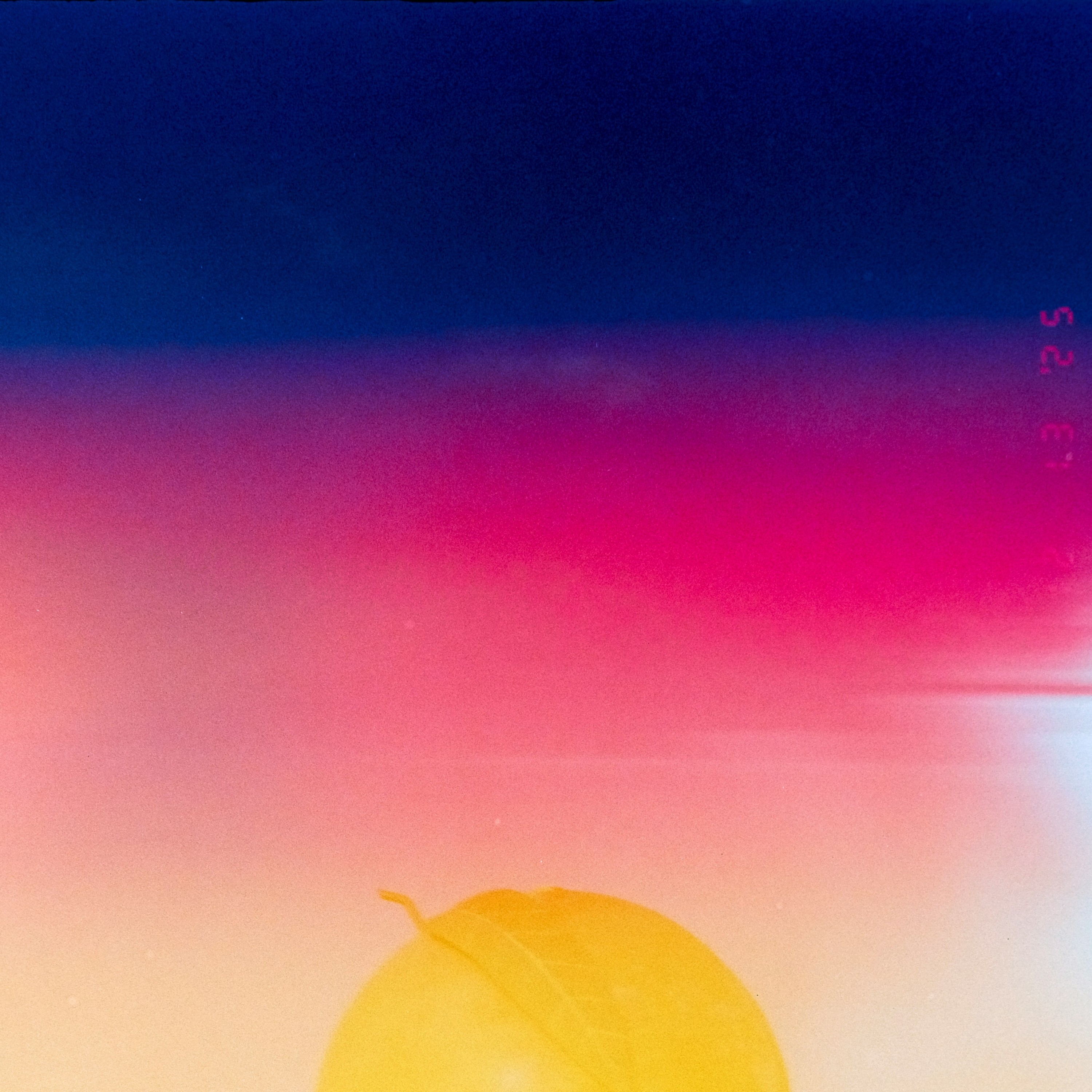 ジャケット写真