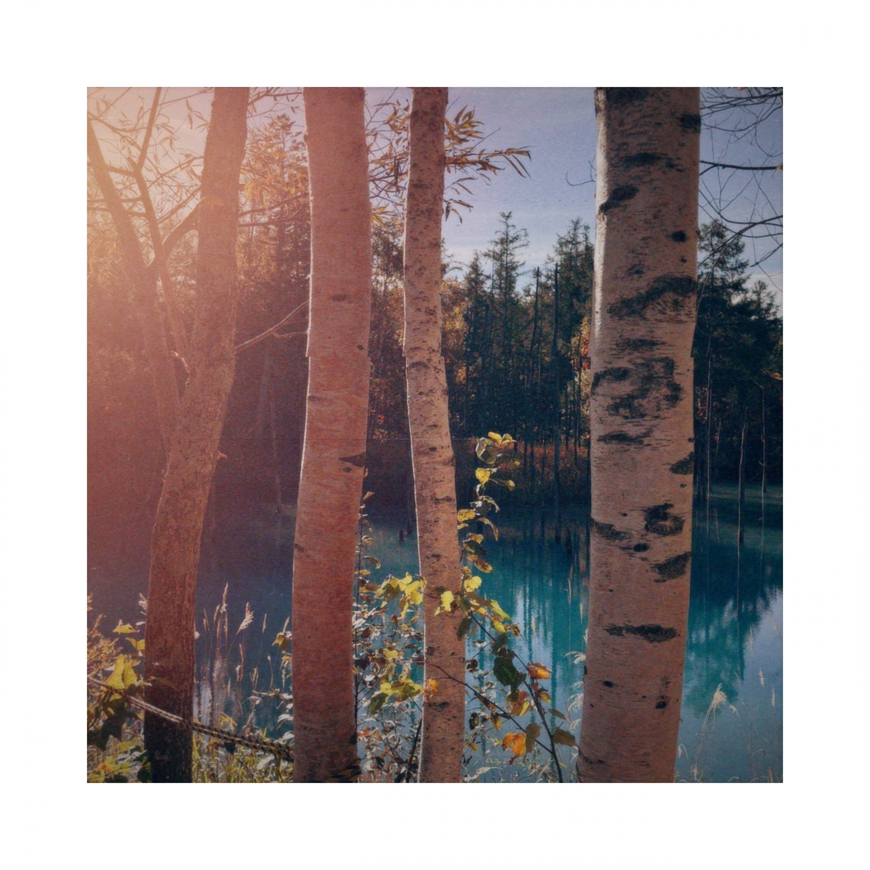 ジャケット写真