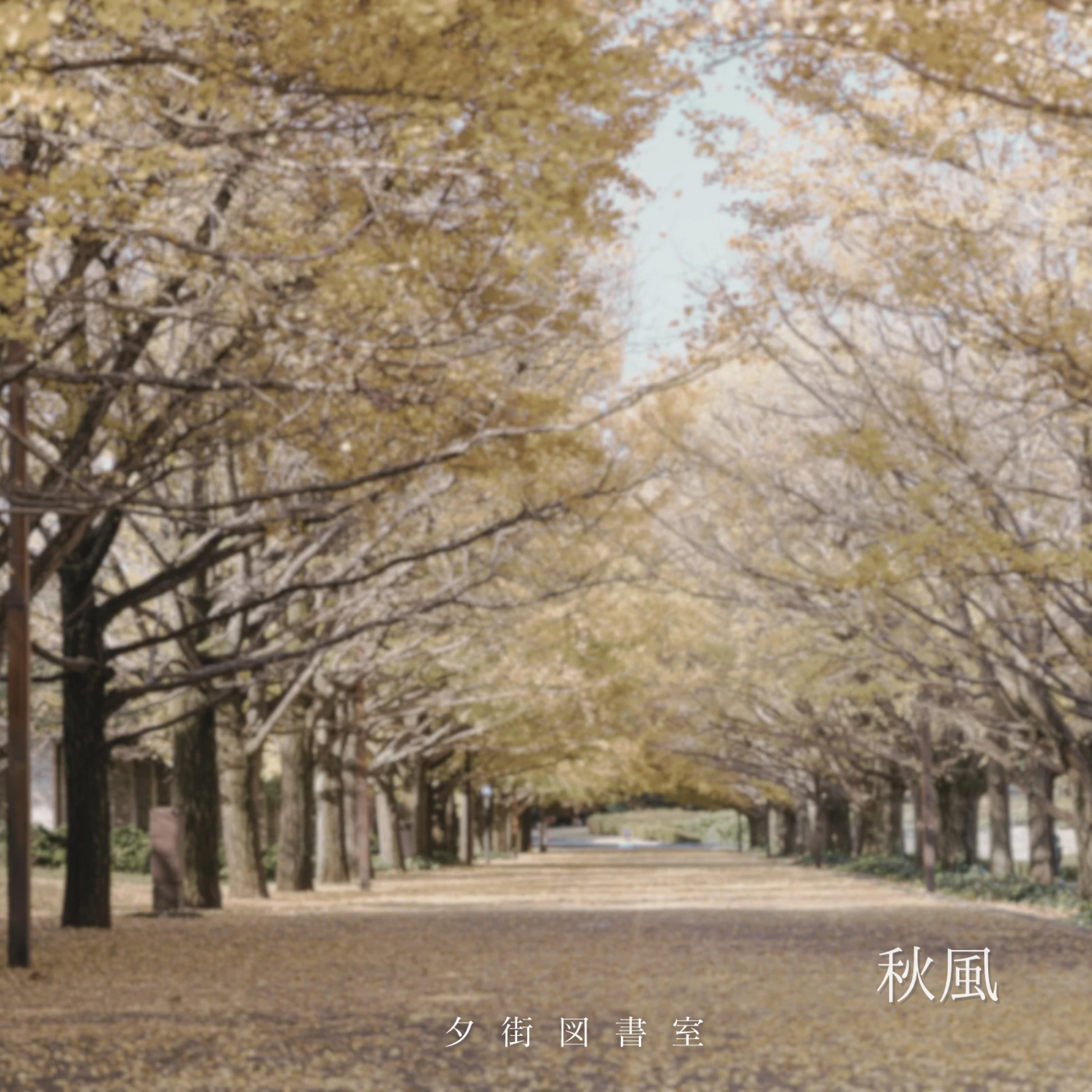 ジャケット写真