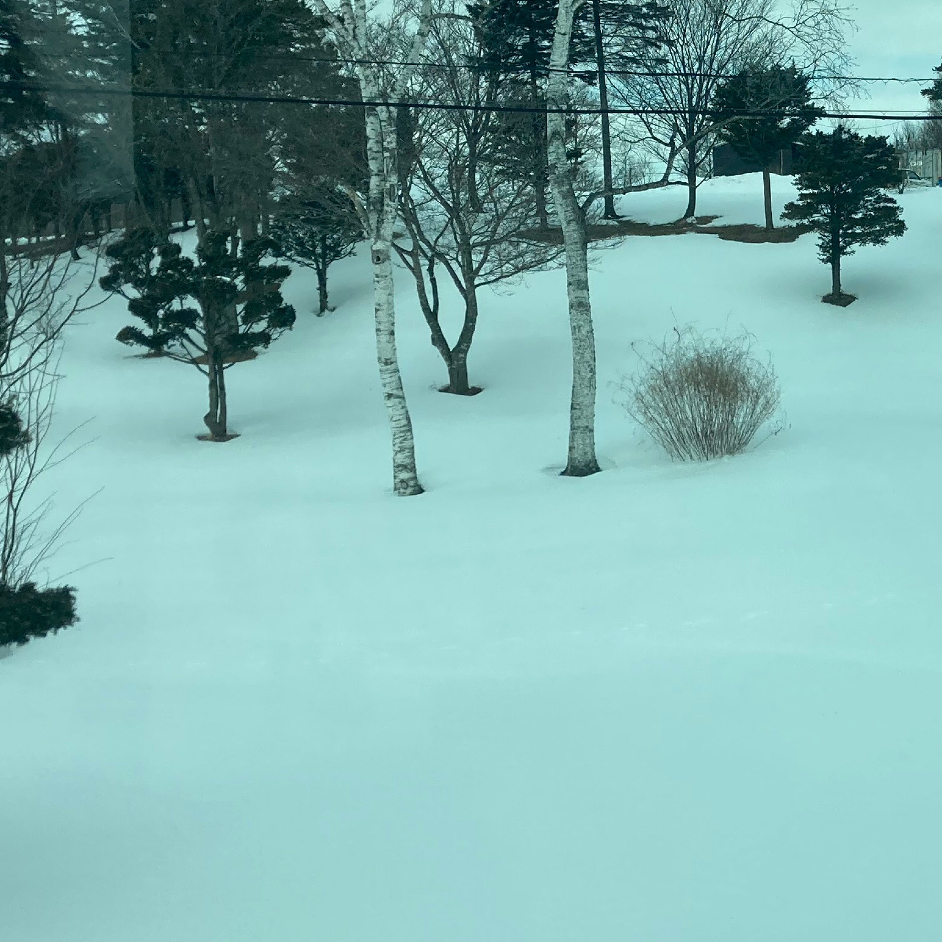 ジャケット写真