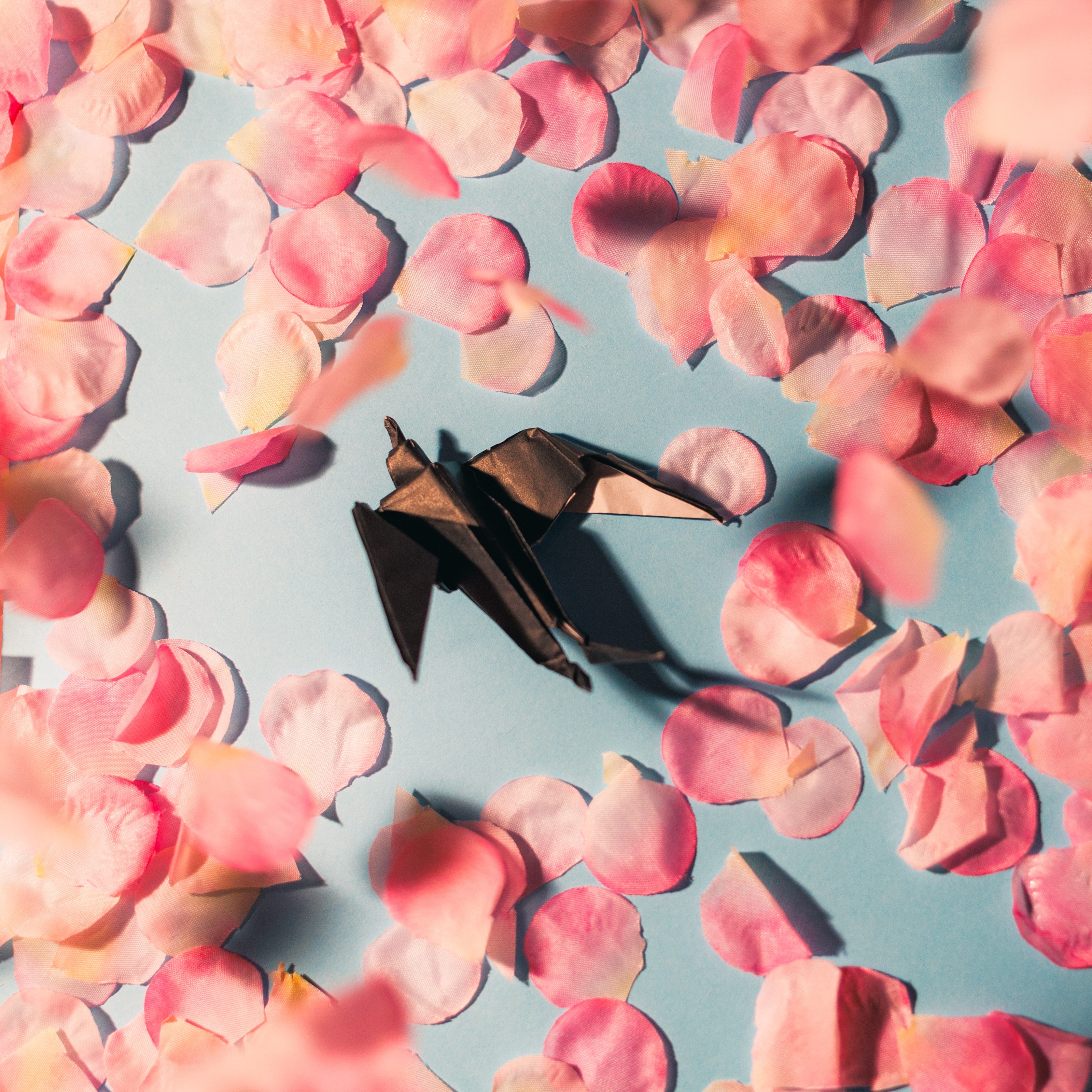 ジャケット写真