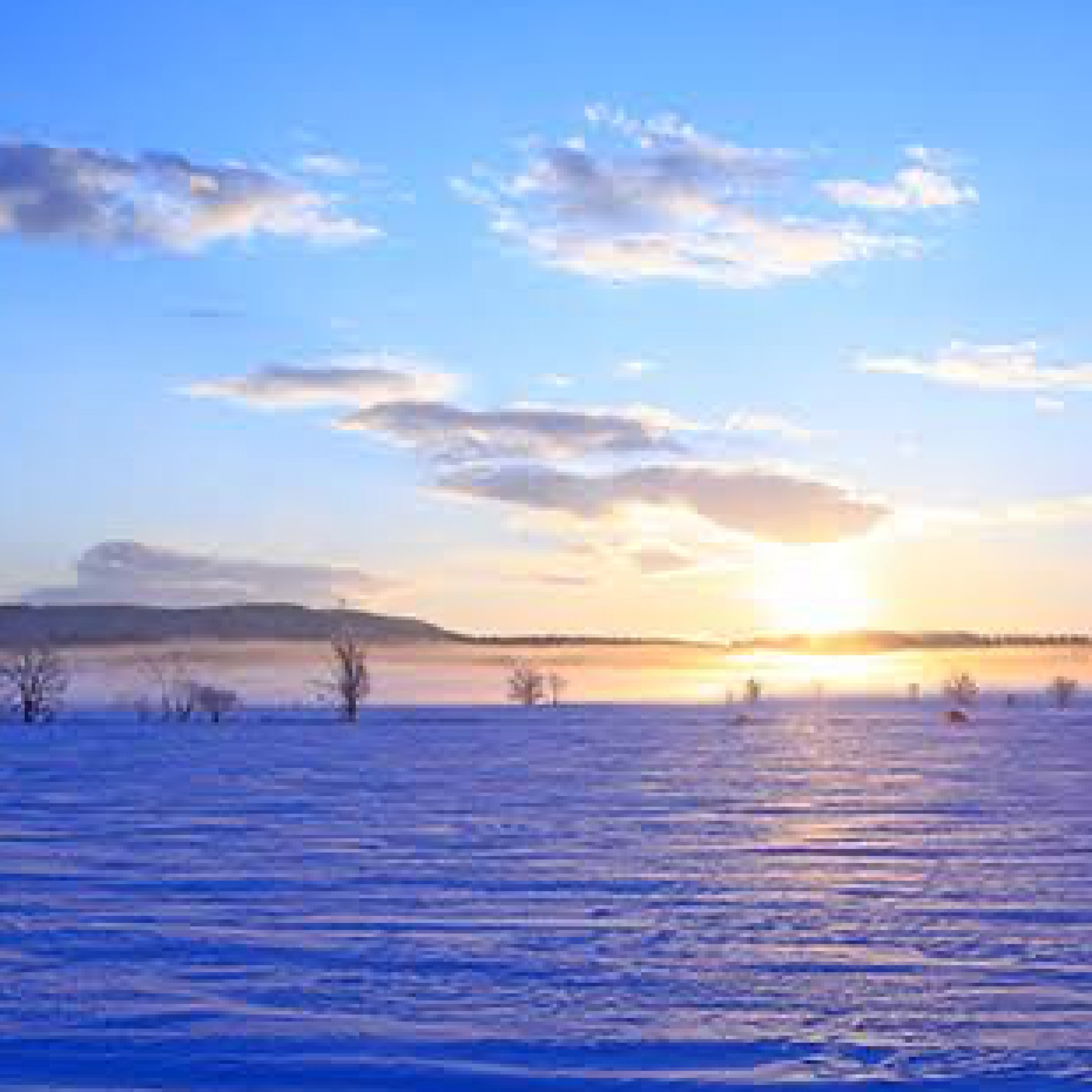 ジャケット写真