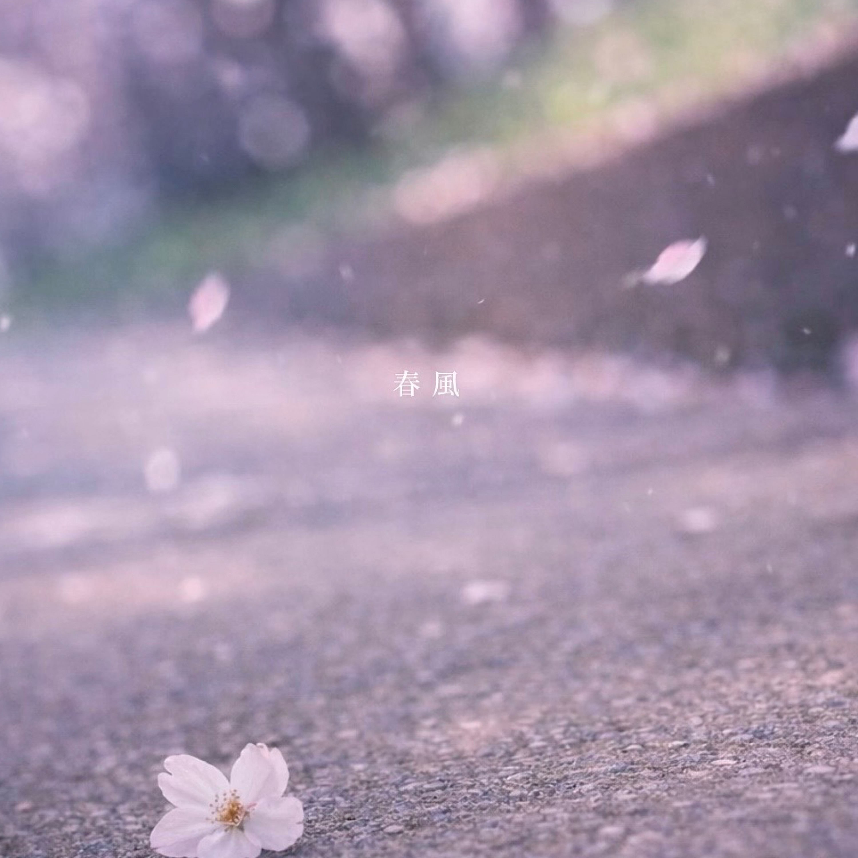 ジャケット写真