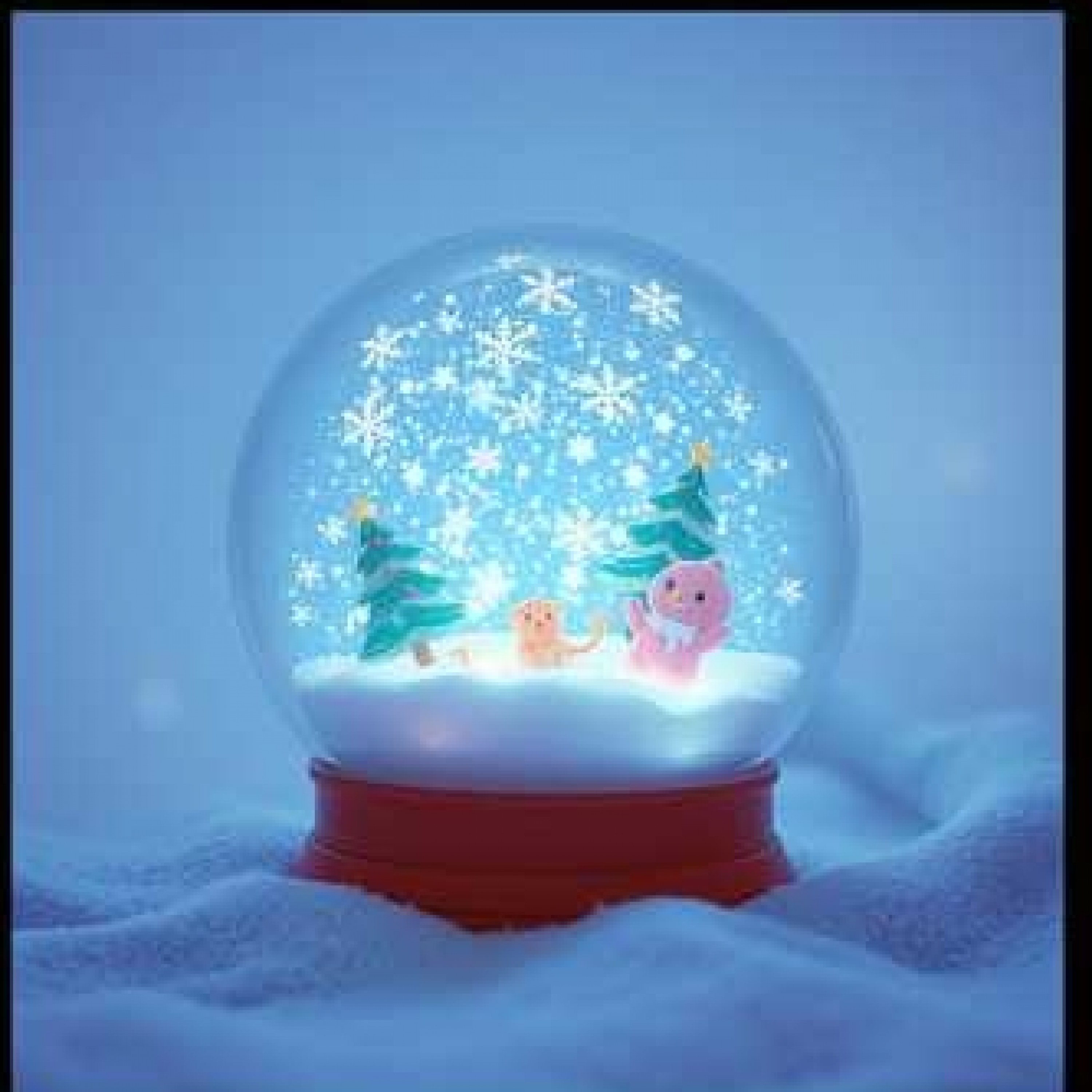 ジャケット写真