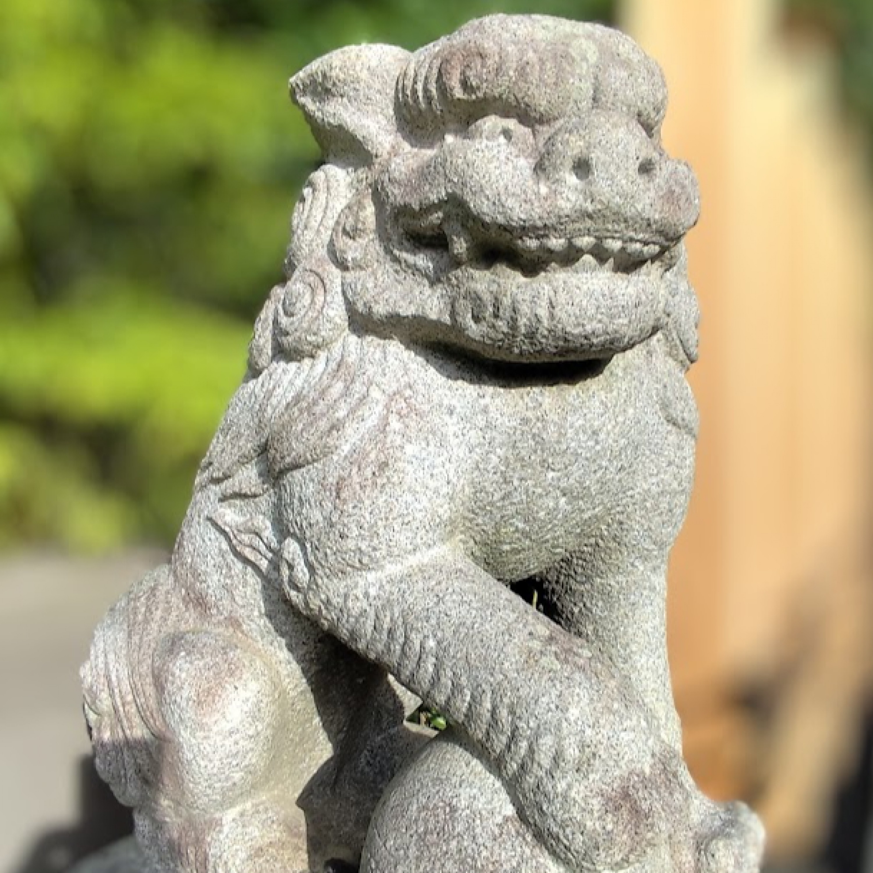 ジャケット写真