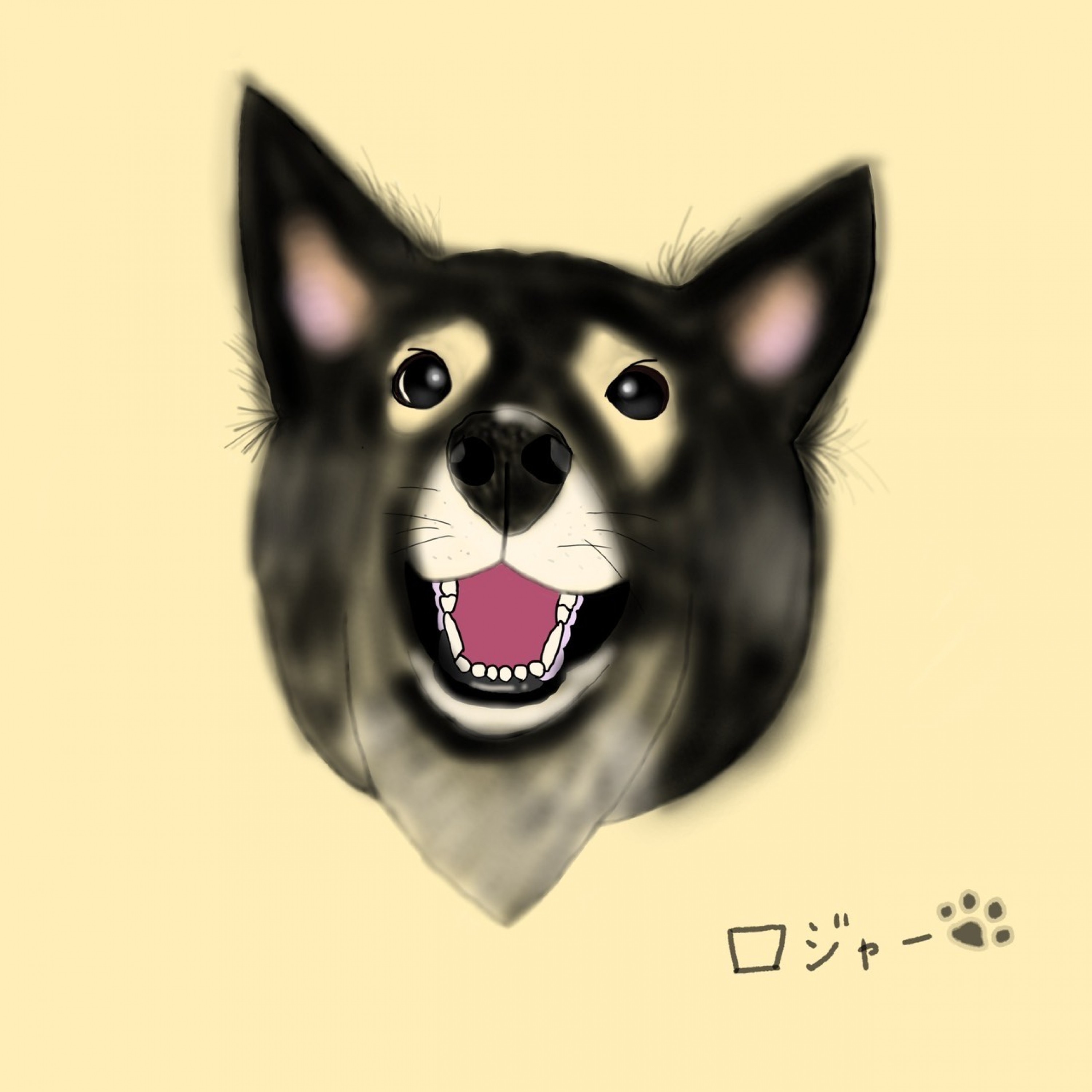 ジャケット写真