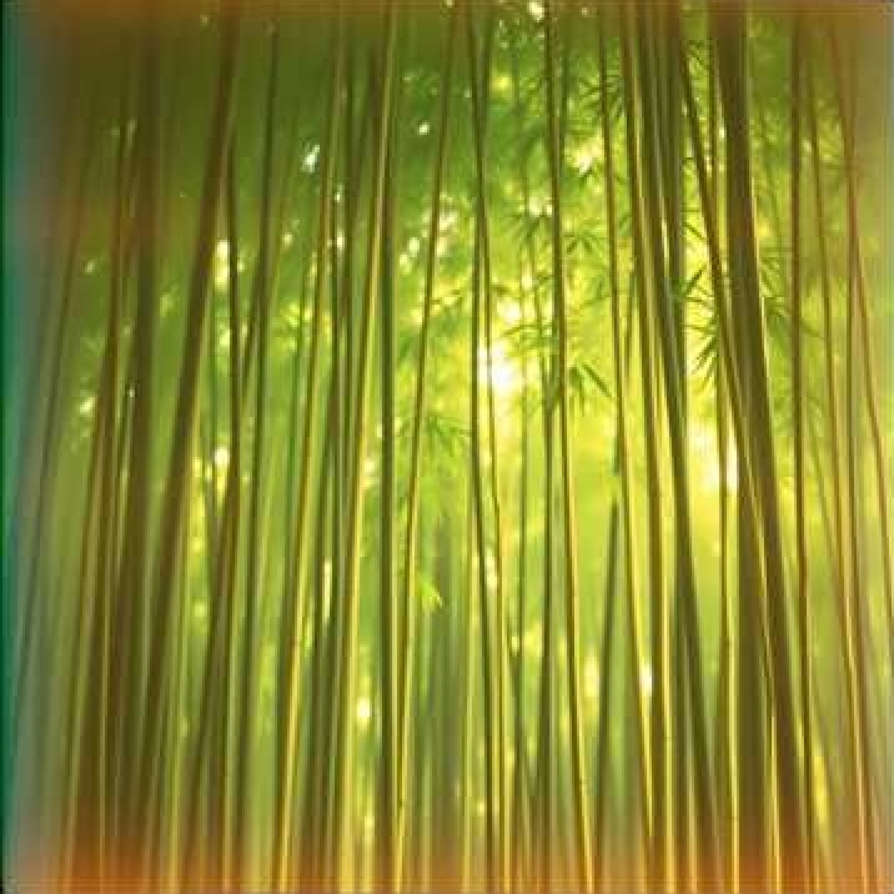 ジャケット写真