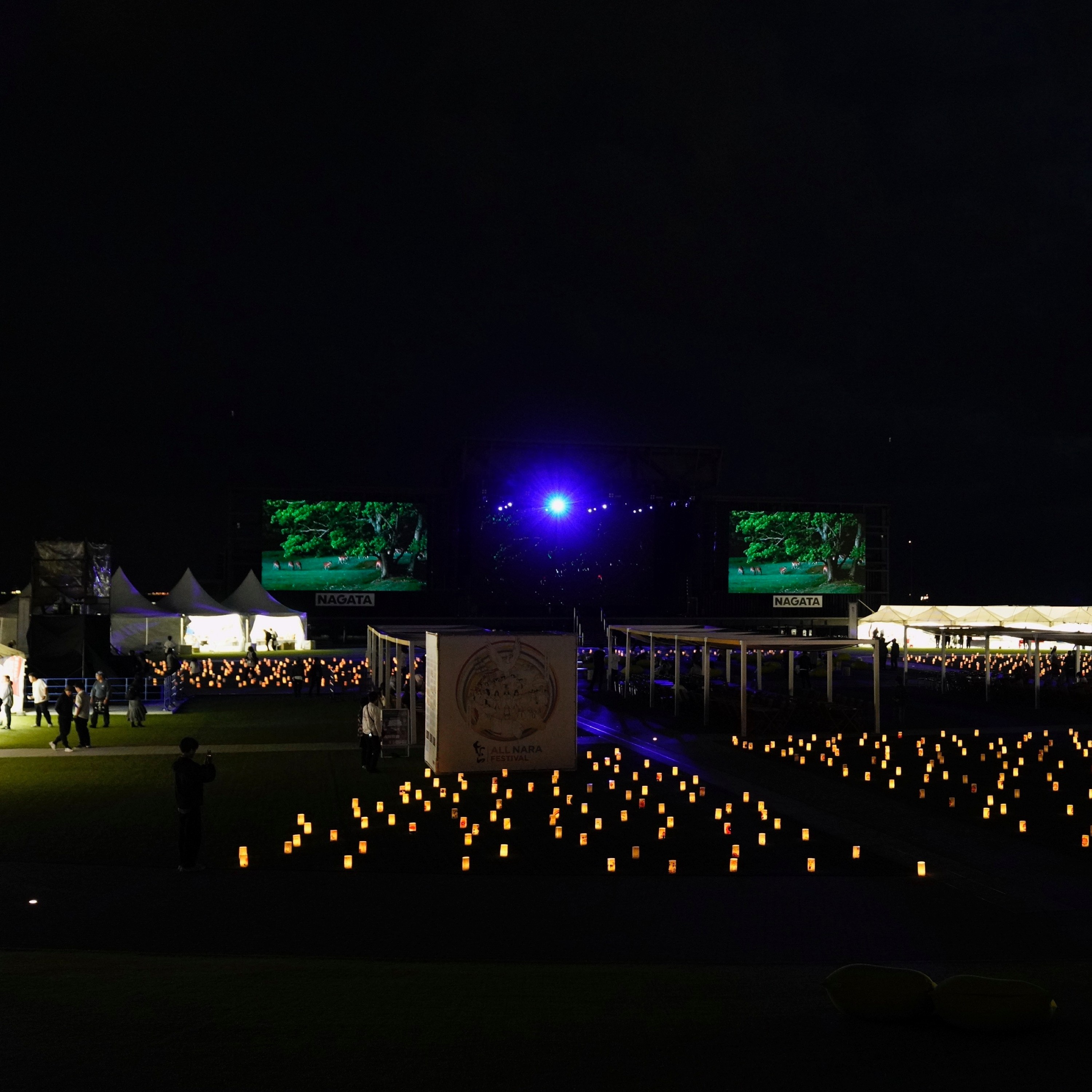 ジャケット写真