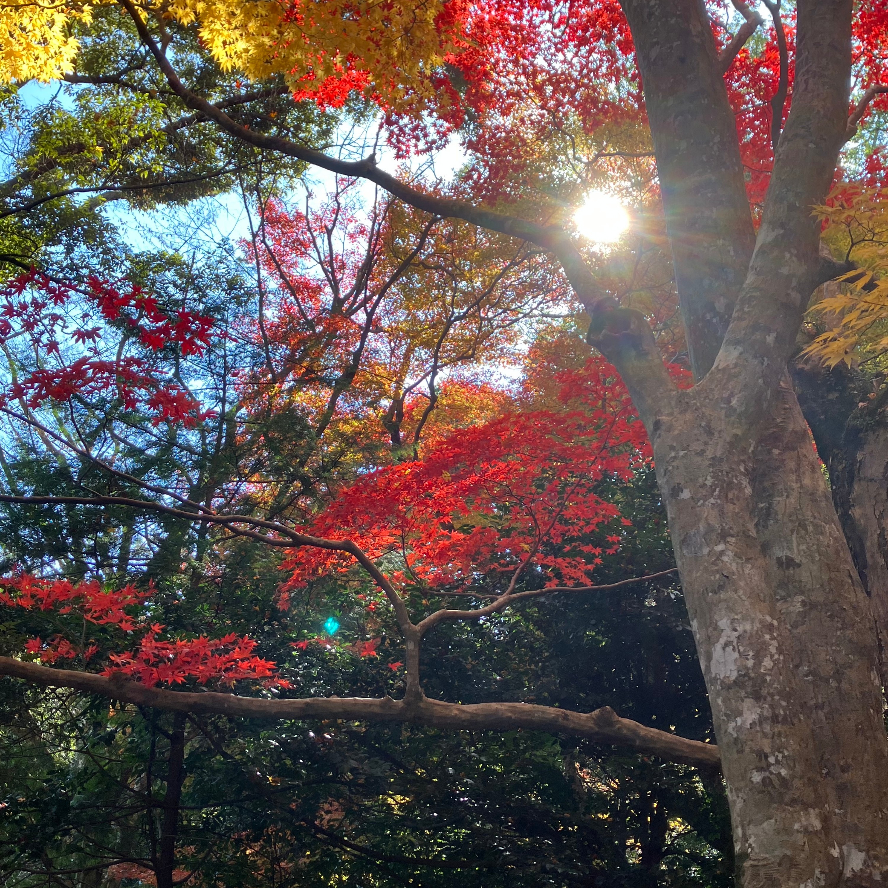 ジャケット写真
