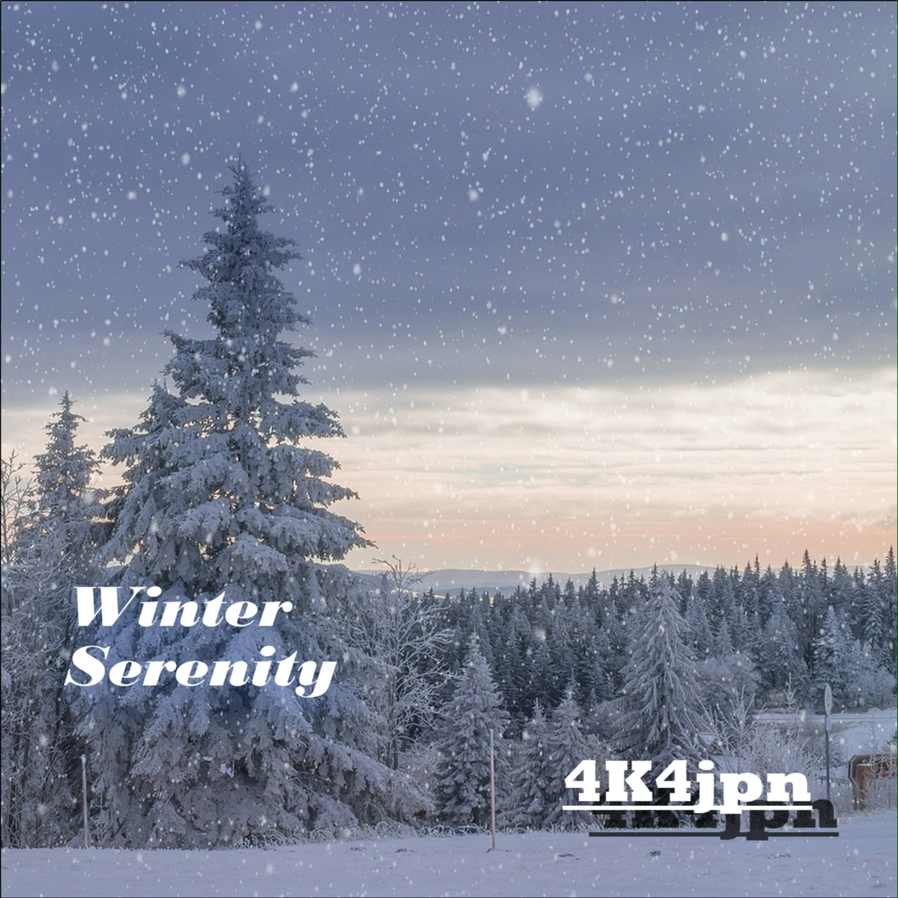 ジャケット写真