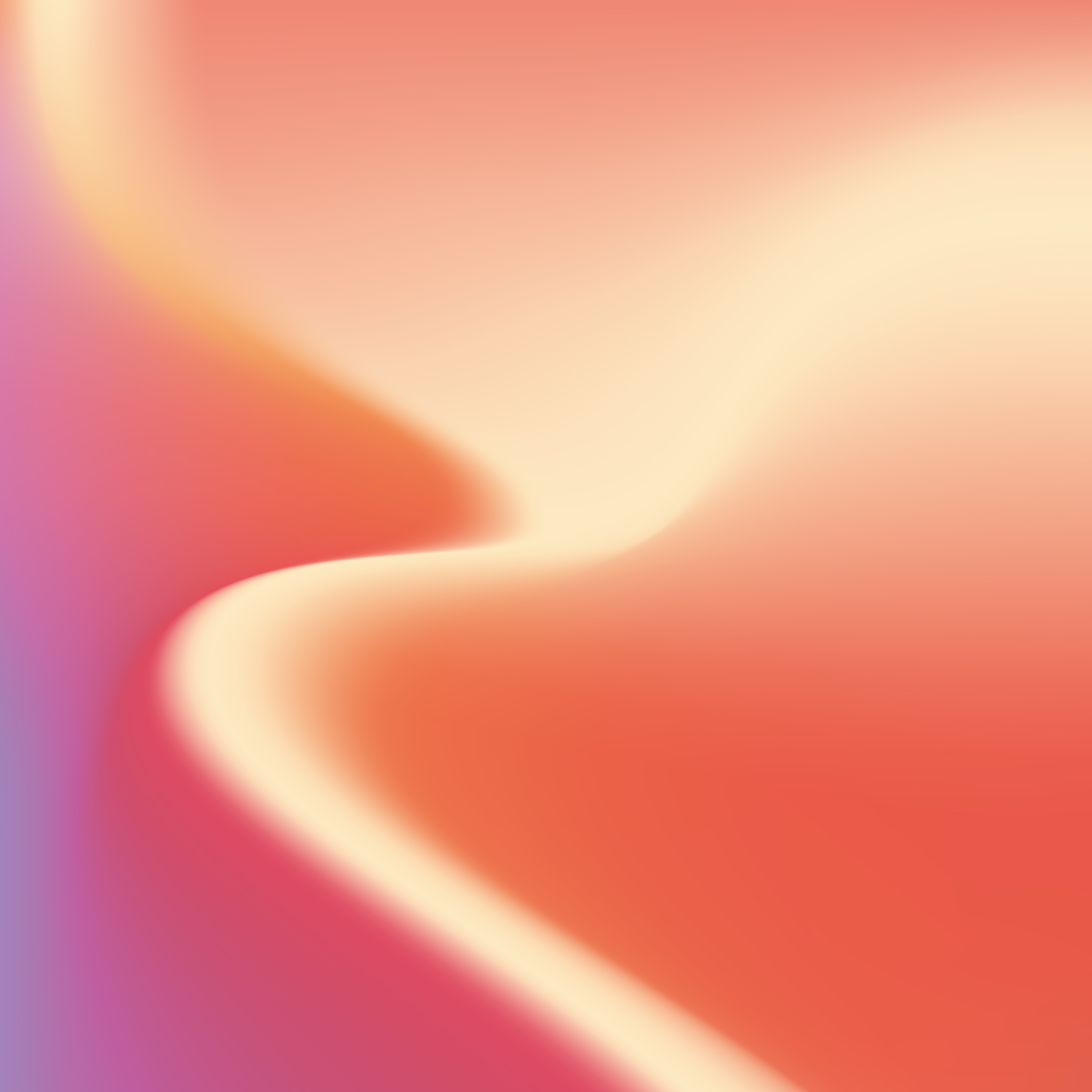 ジャケット写真