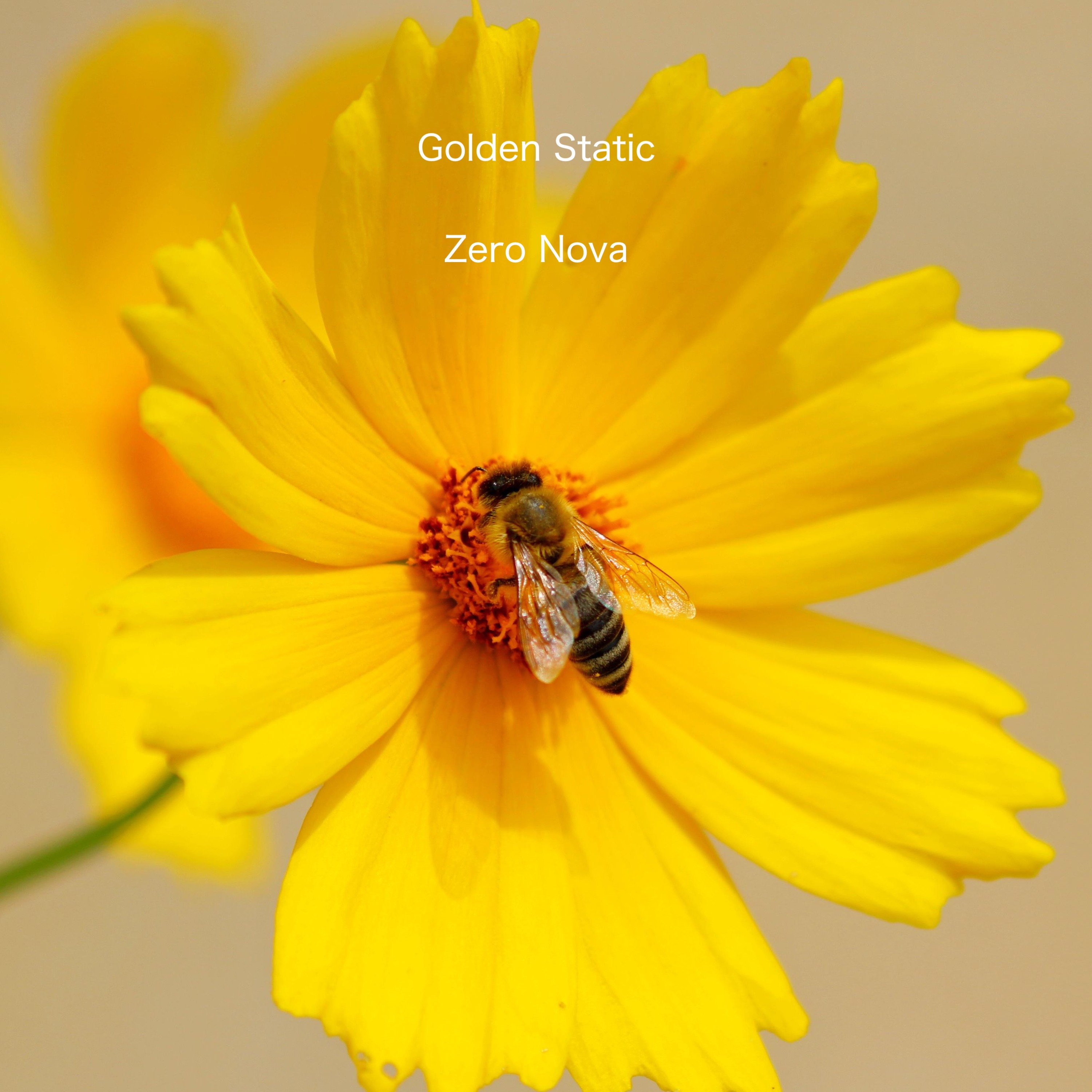 ジャケット写真