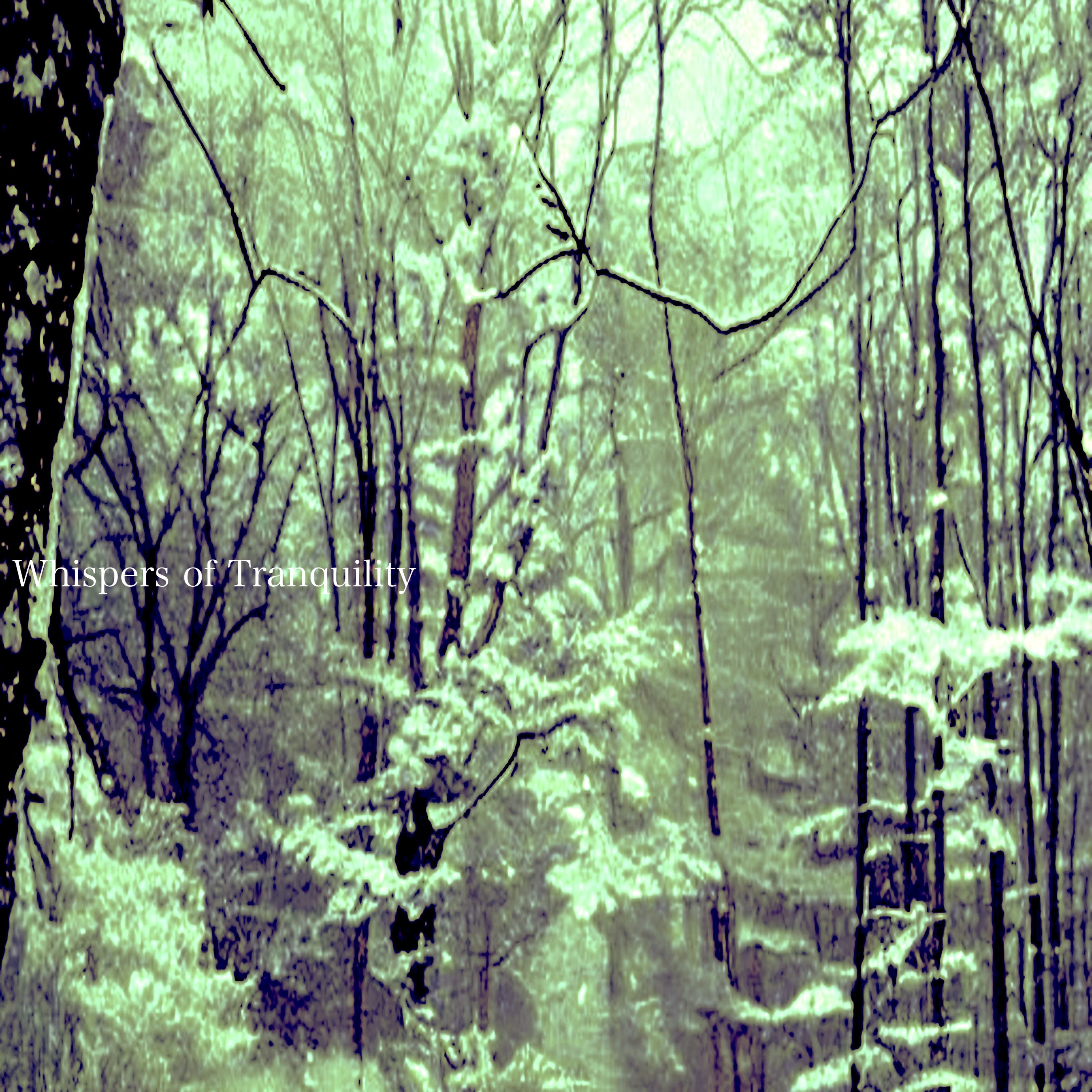 ジャケット写真