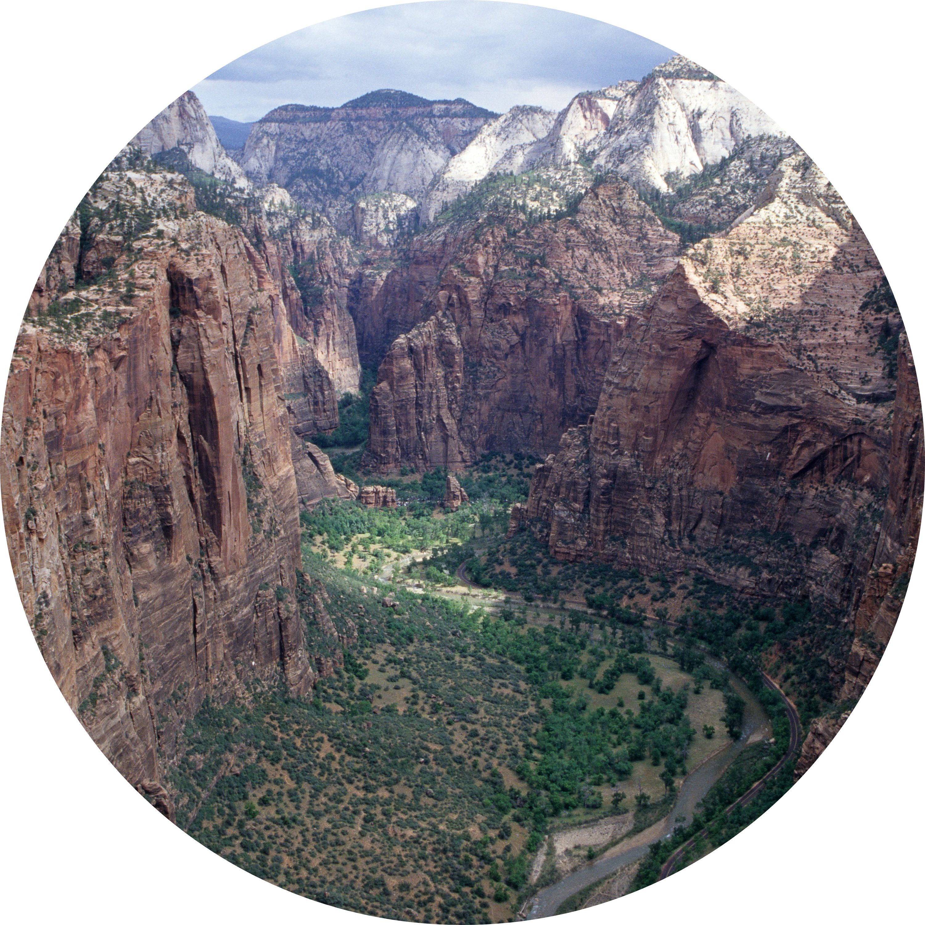 ジャケット写真